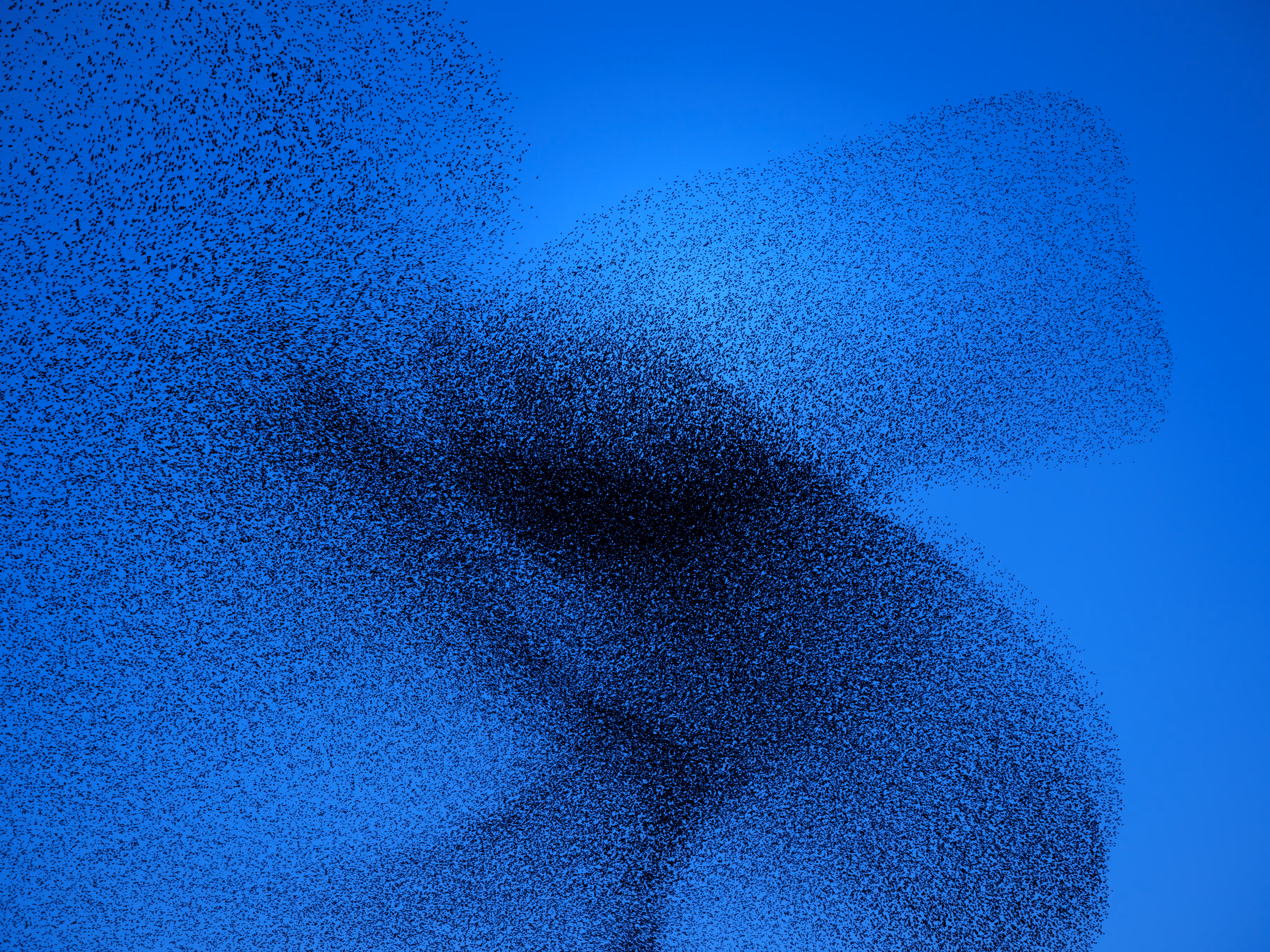 Murmuration XX | One million starlings