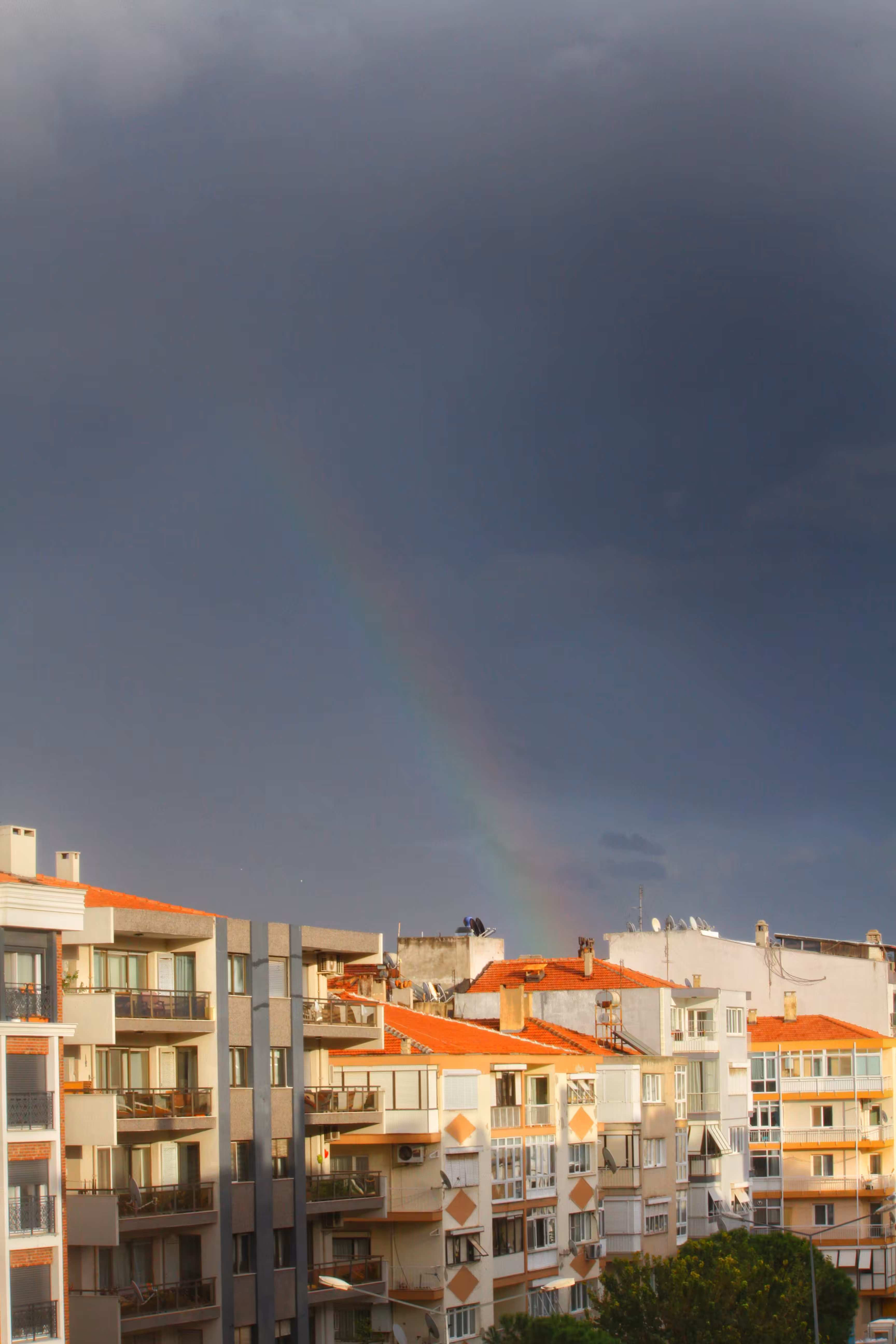 Rainbow 🌈
