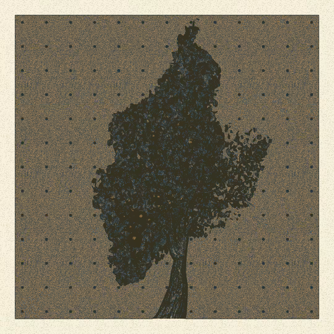 _argania[primaria] #45