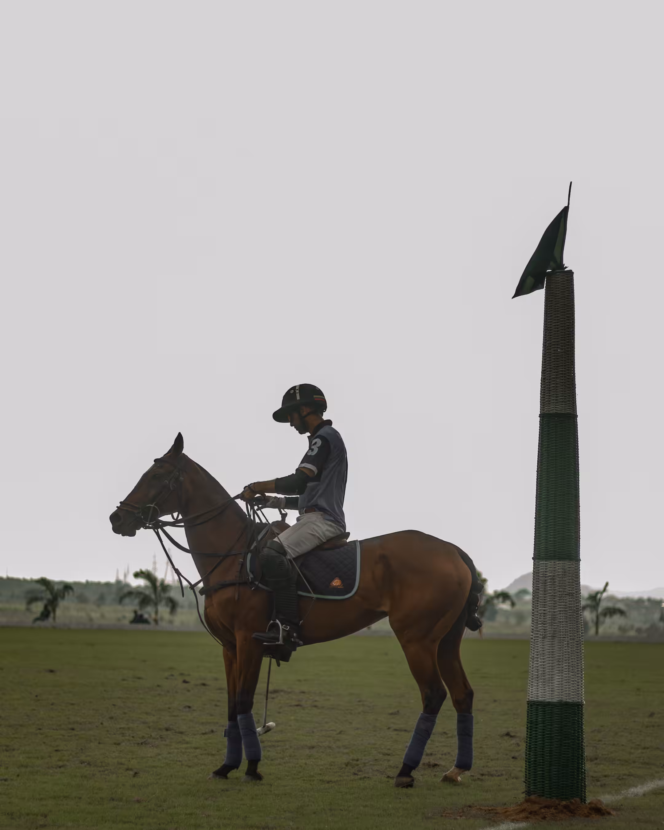 chukkers