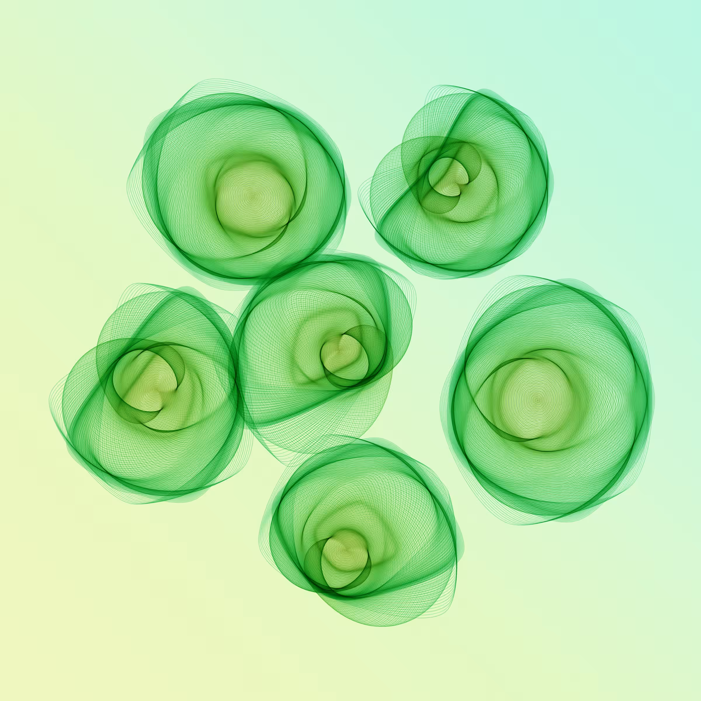 Flowers #3700