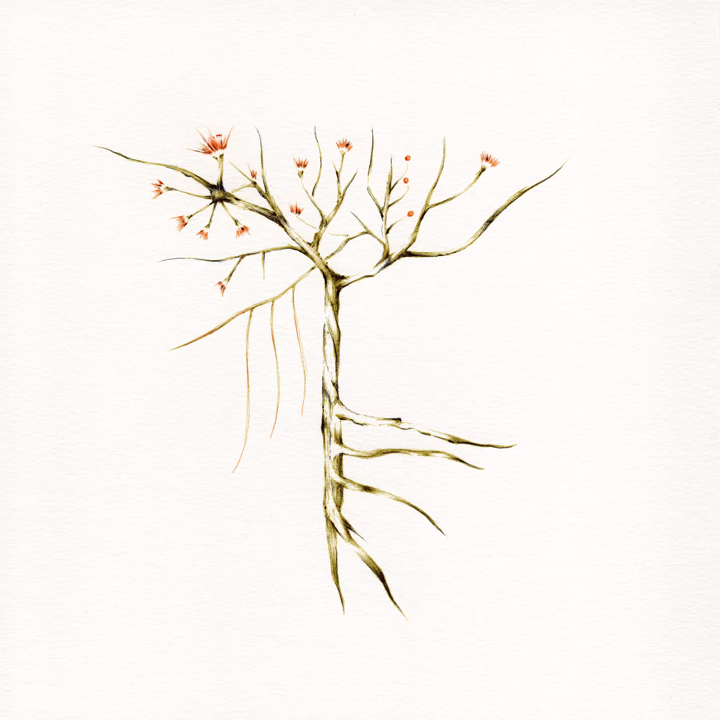 imaginary tree #3