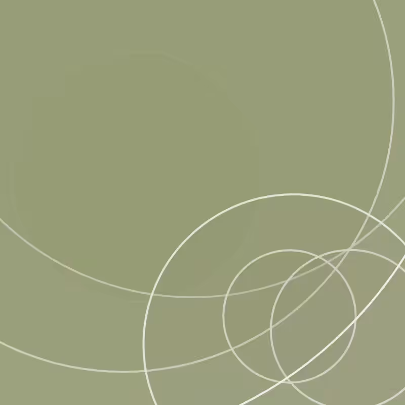 Minimal circular #20