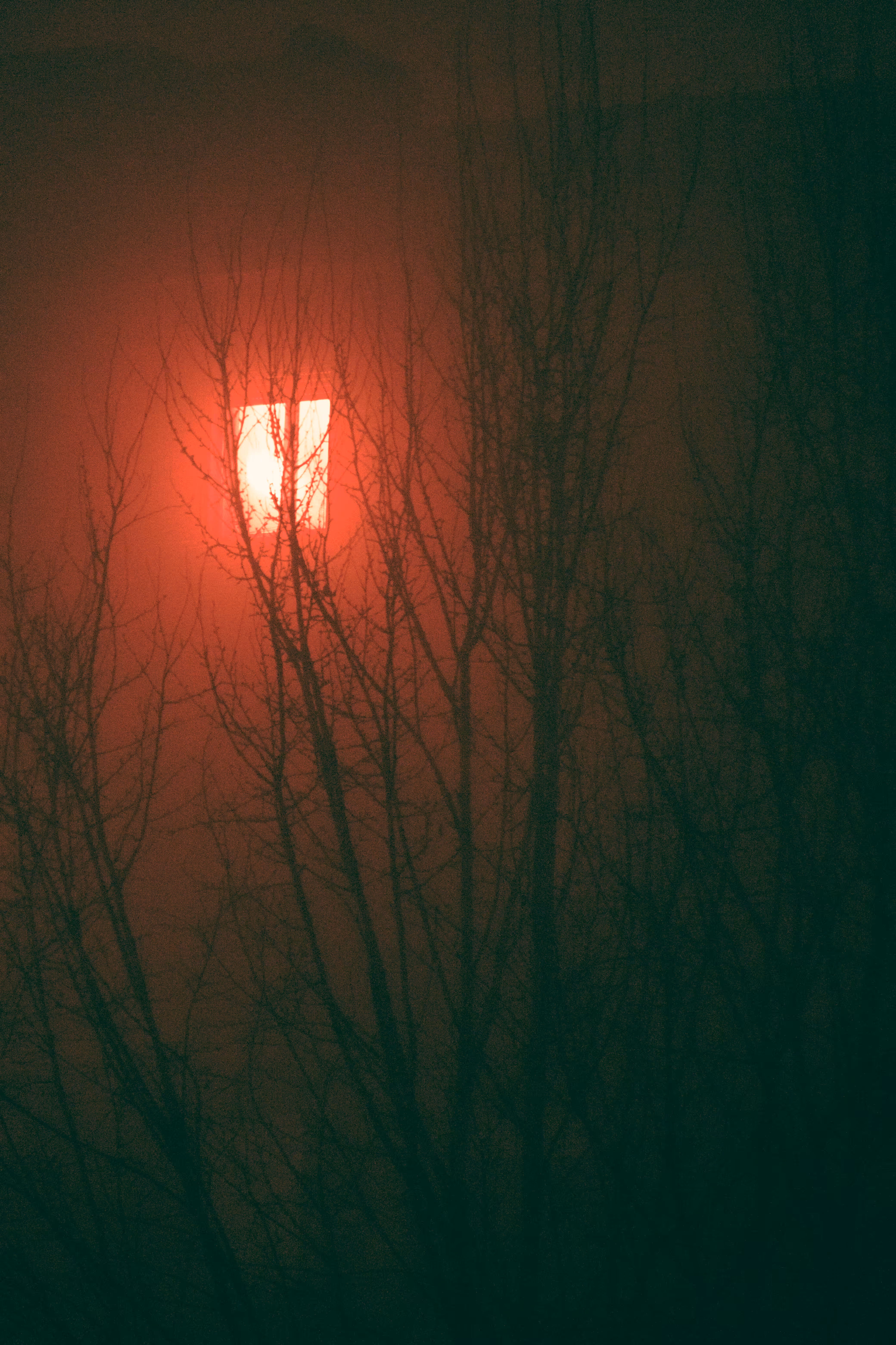✚RED NIgHT✚ 1/3