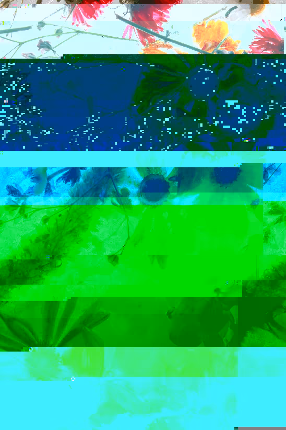 Glitch #8