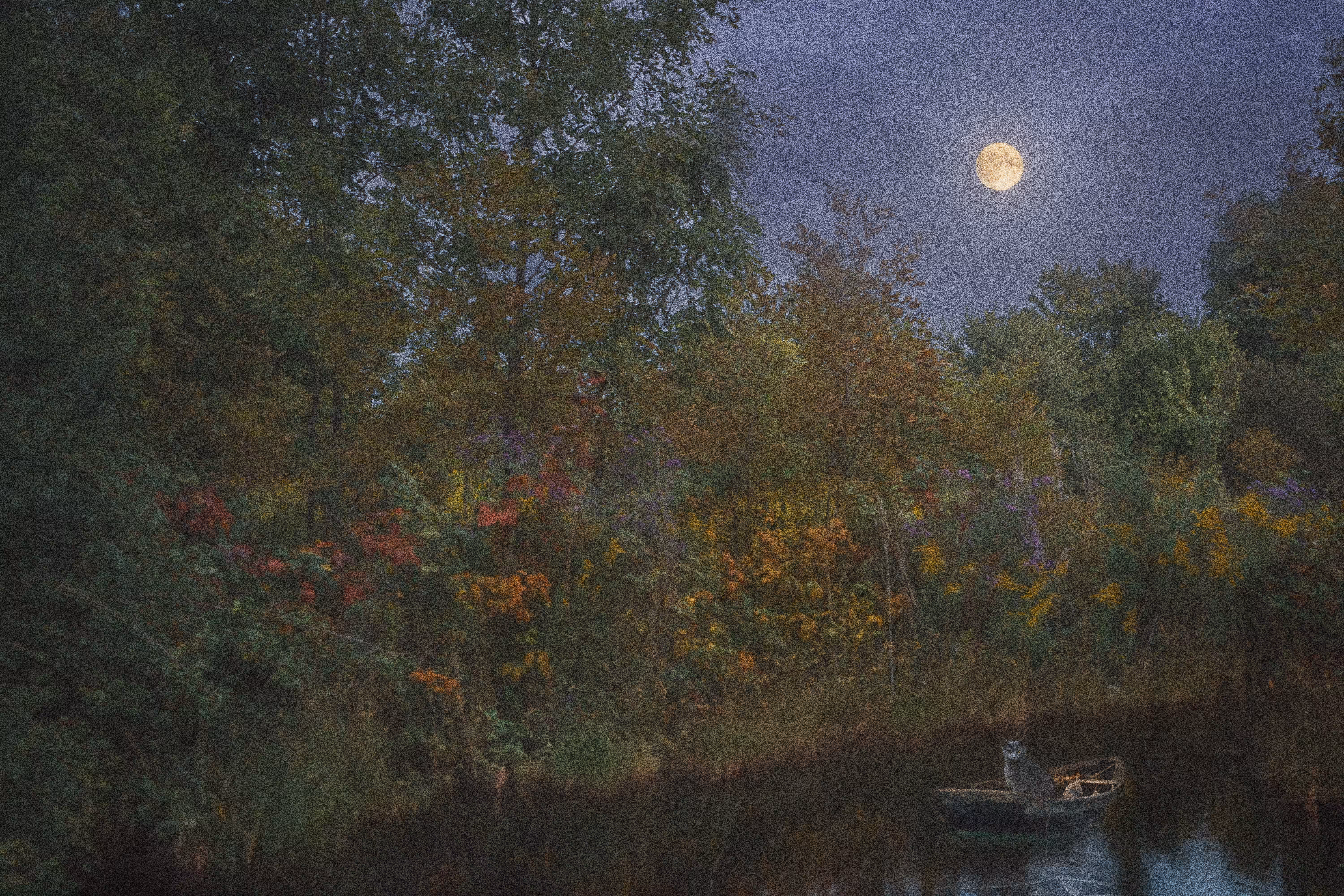An Evening on the Water