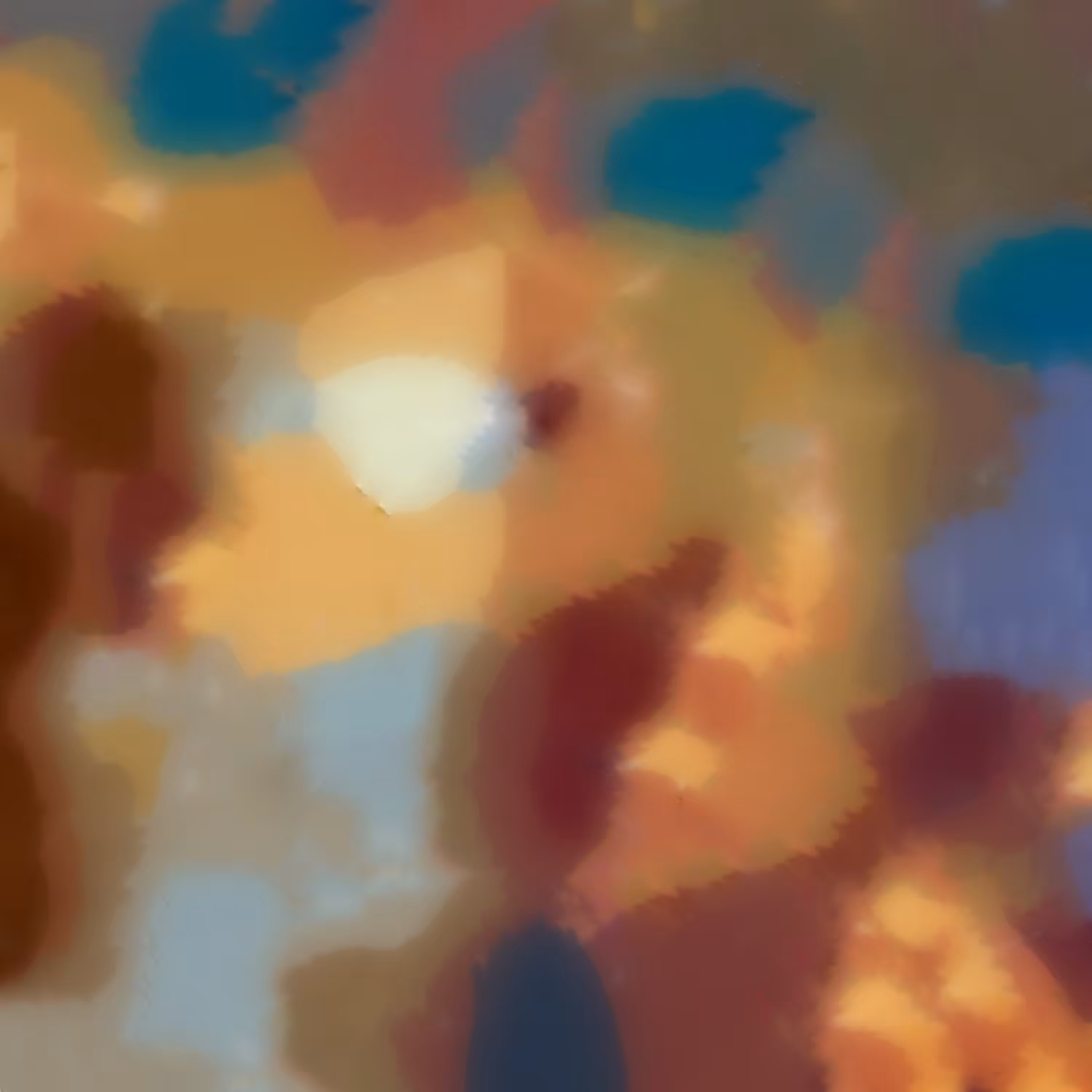 Follower 29