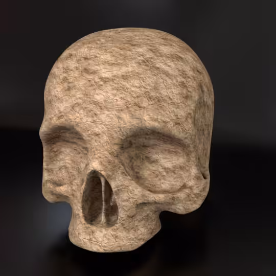 SkullZ #106
