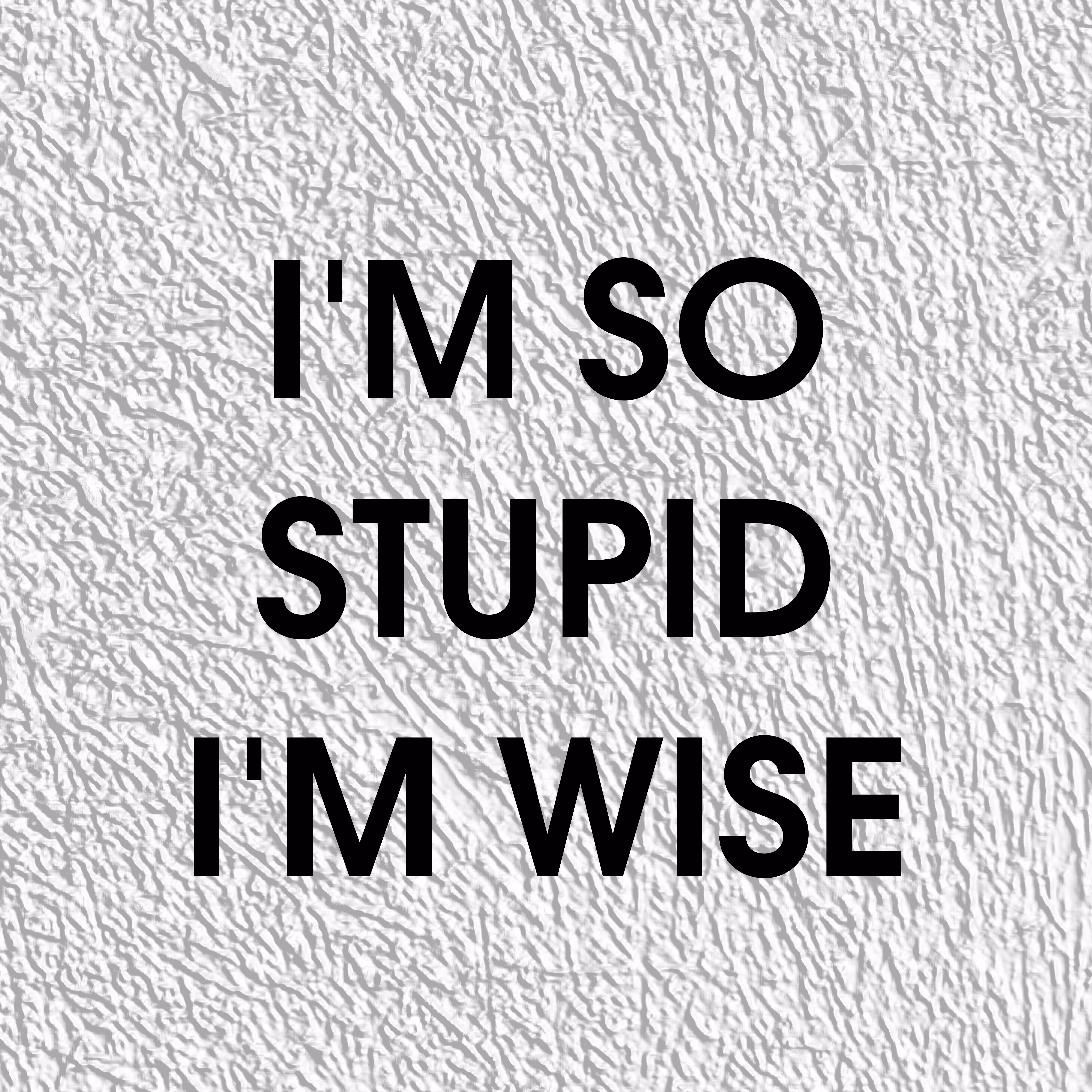 I'm So Stupid I'm Wise