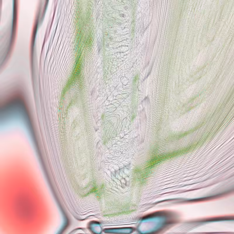 The In-between Places #1