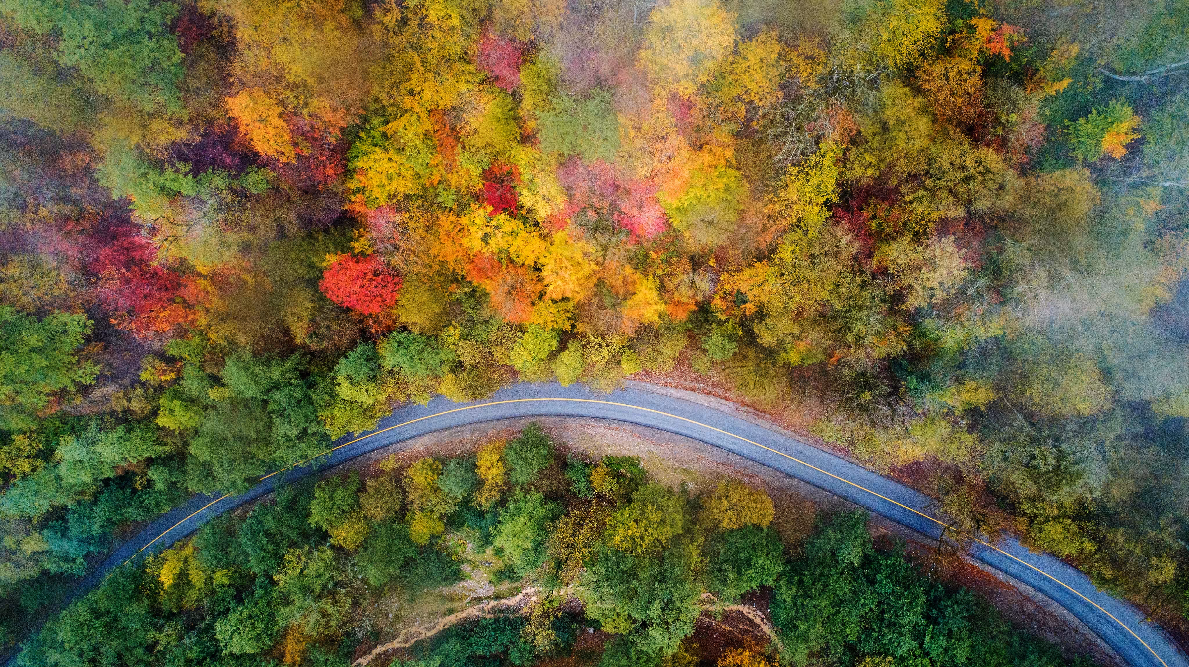 Autumn