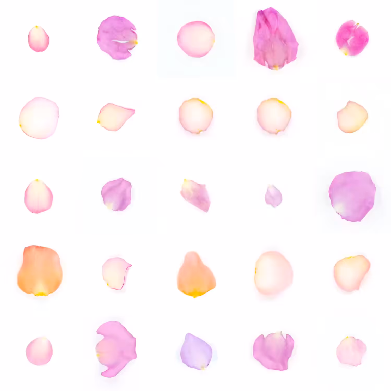 Infinite Petals 5x5#20326
