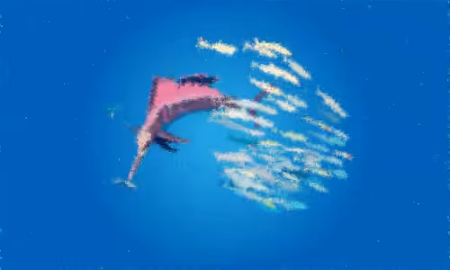 Sailfish