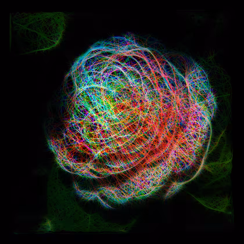 Camellia Palette