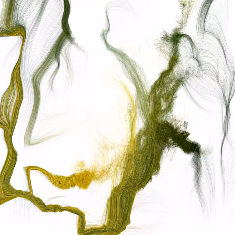 Hypericum #102