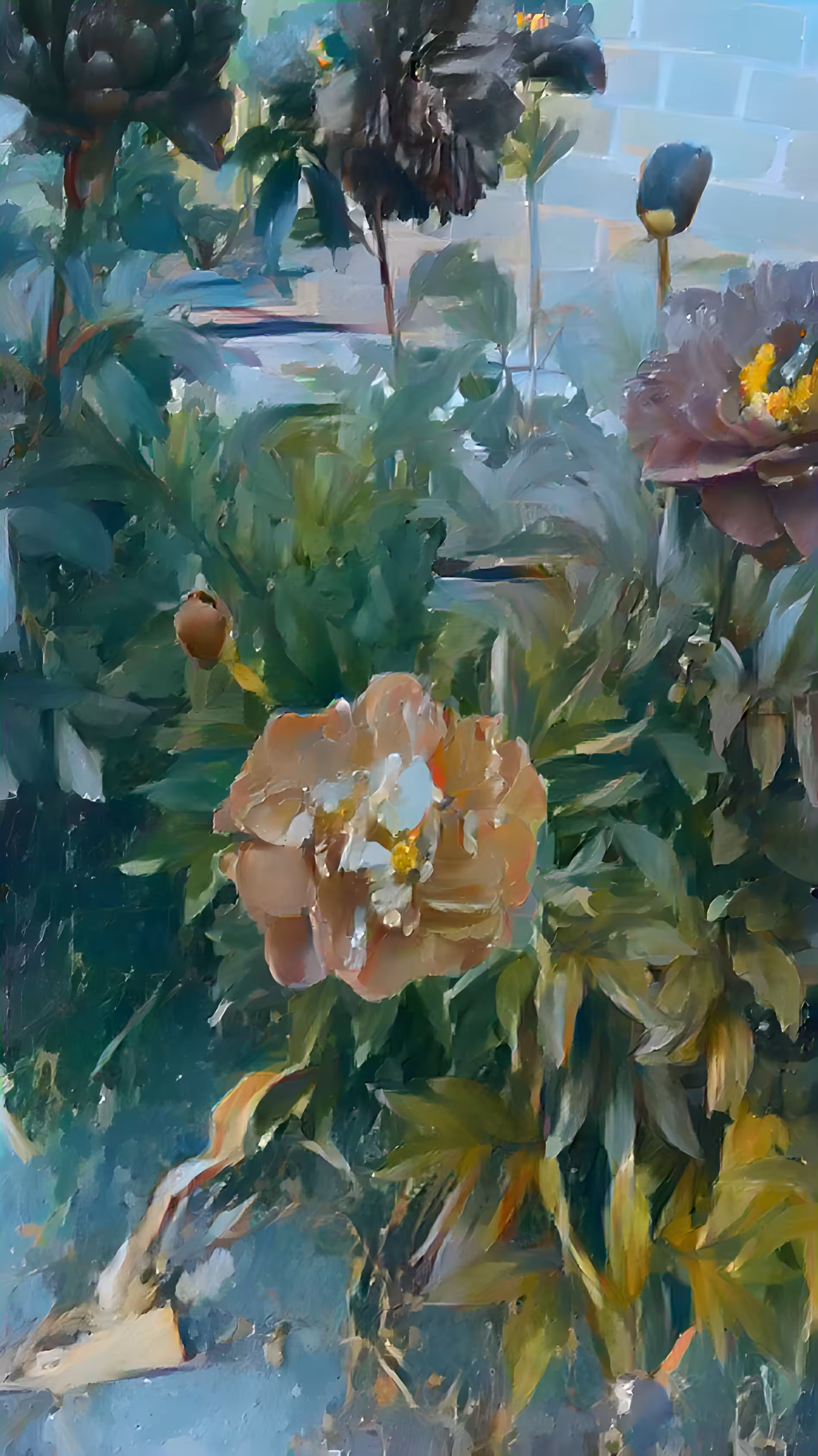Moutan Peony