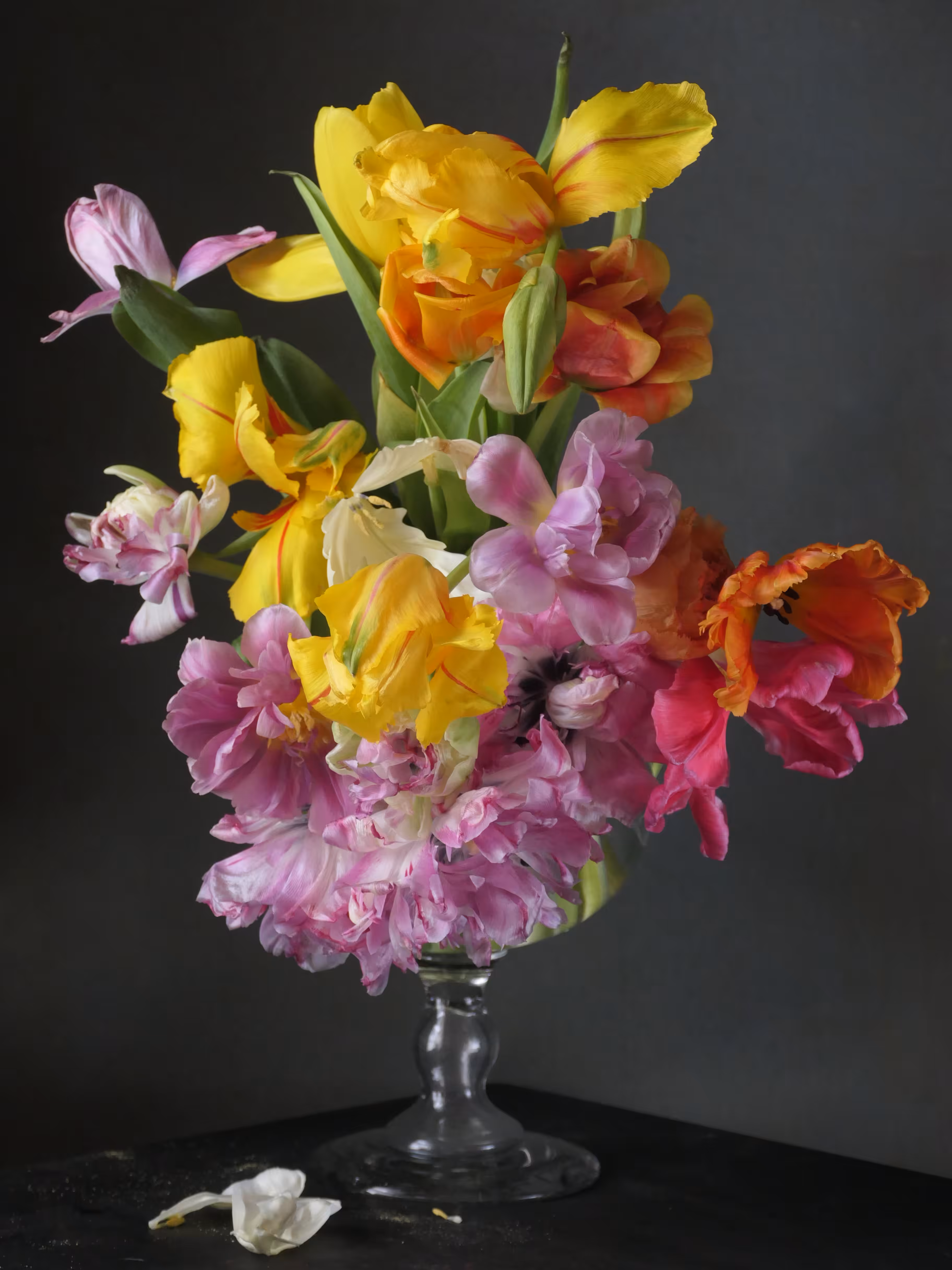 Still Life #1