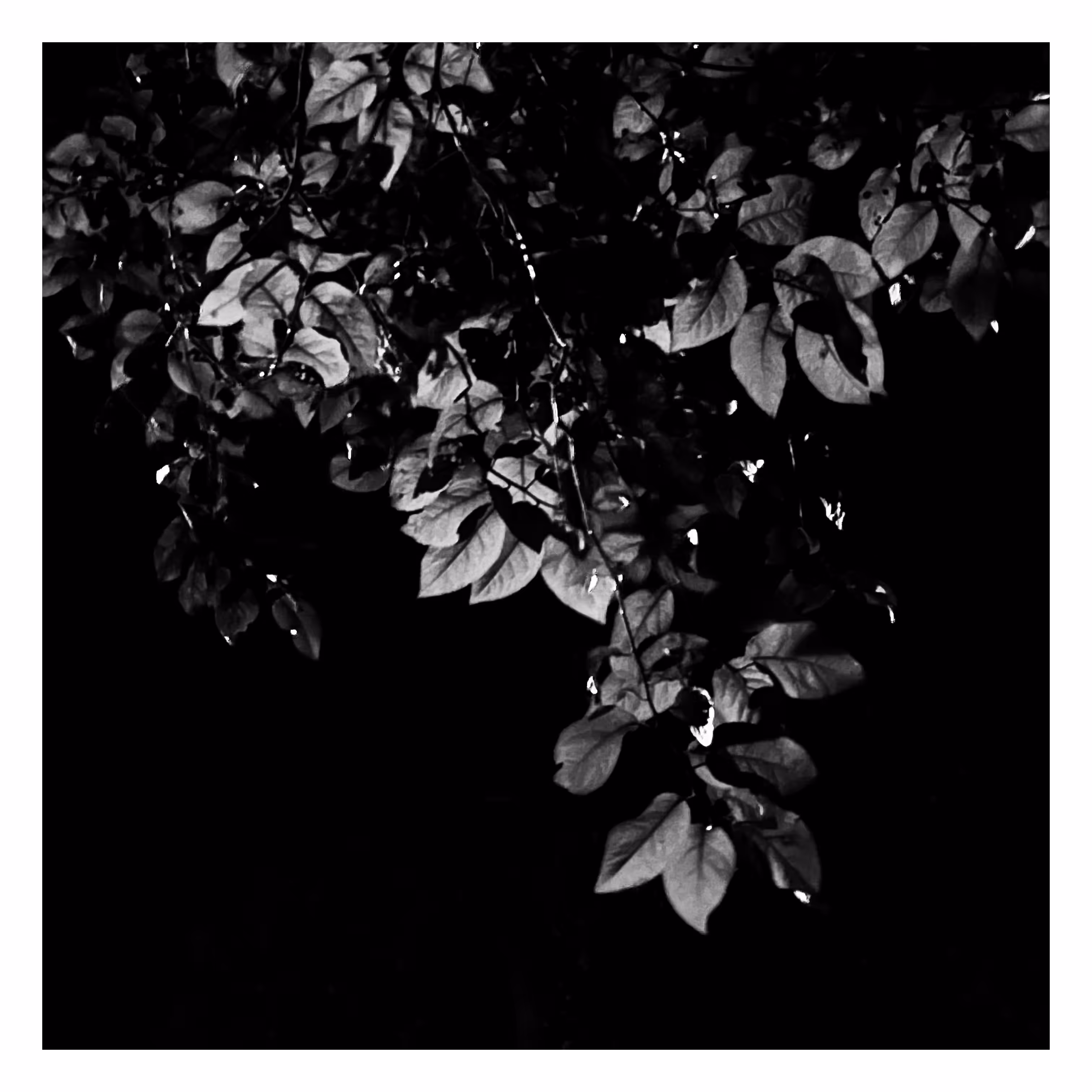 Stroll: July 13, 2023 • 11:47pm