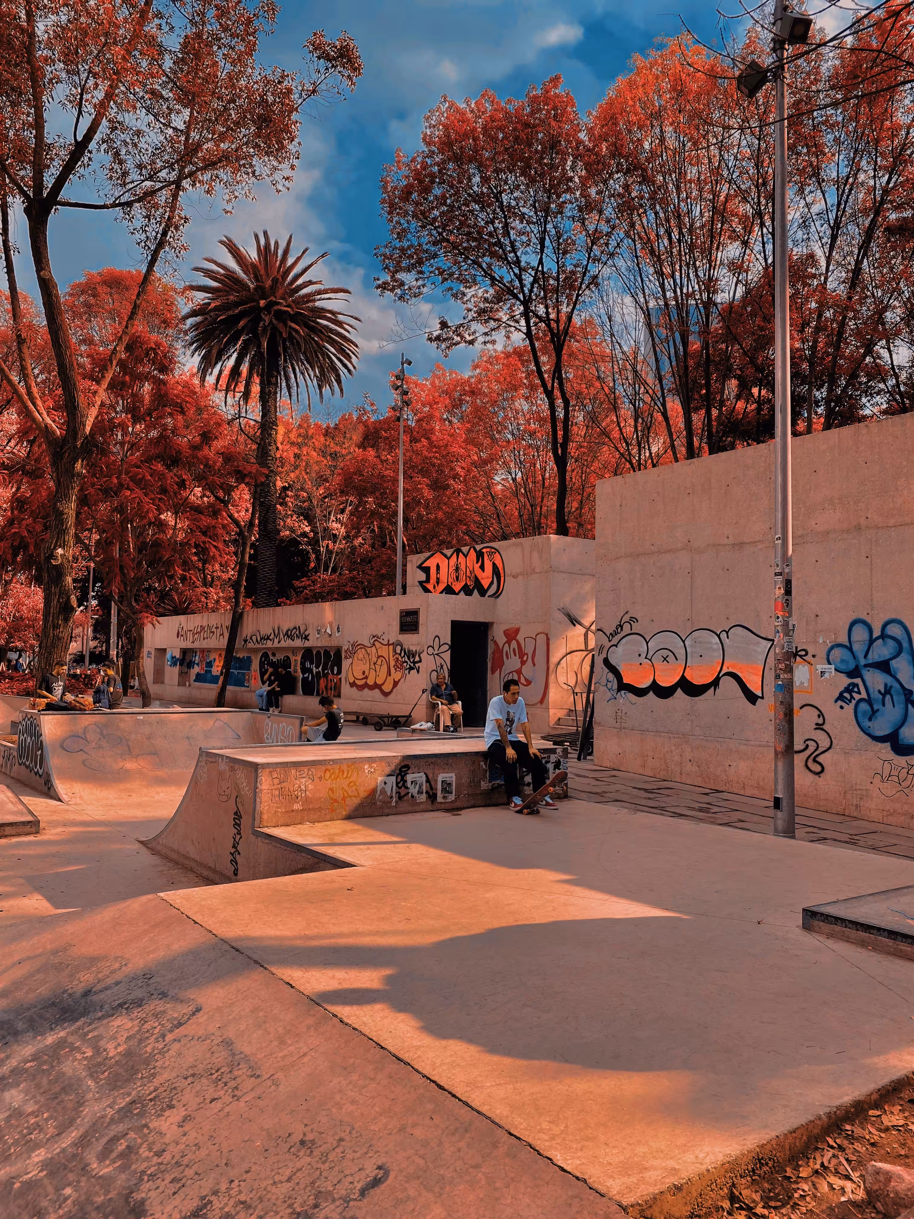 Jardín del Arte