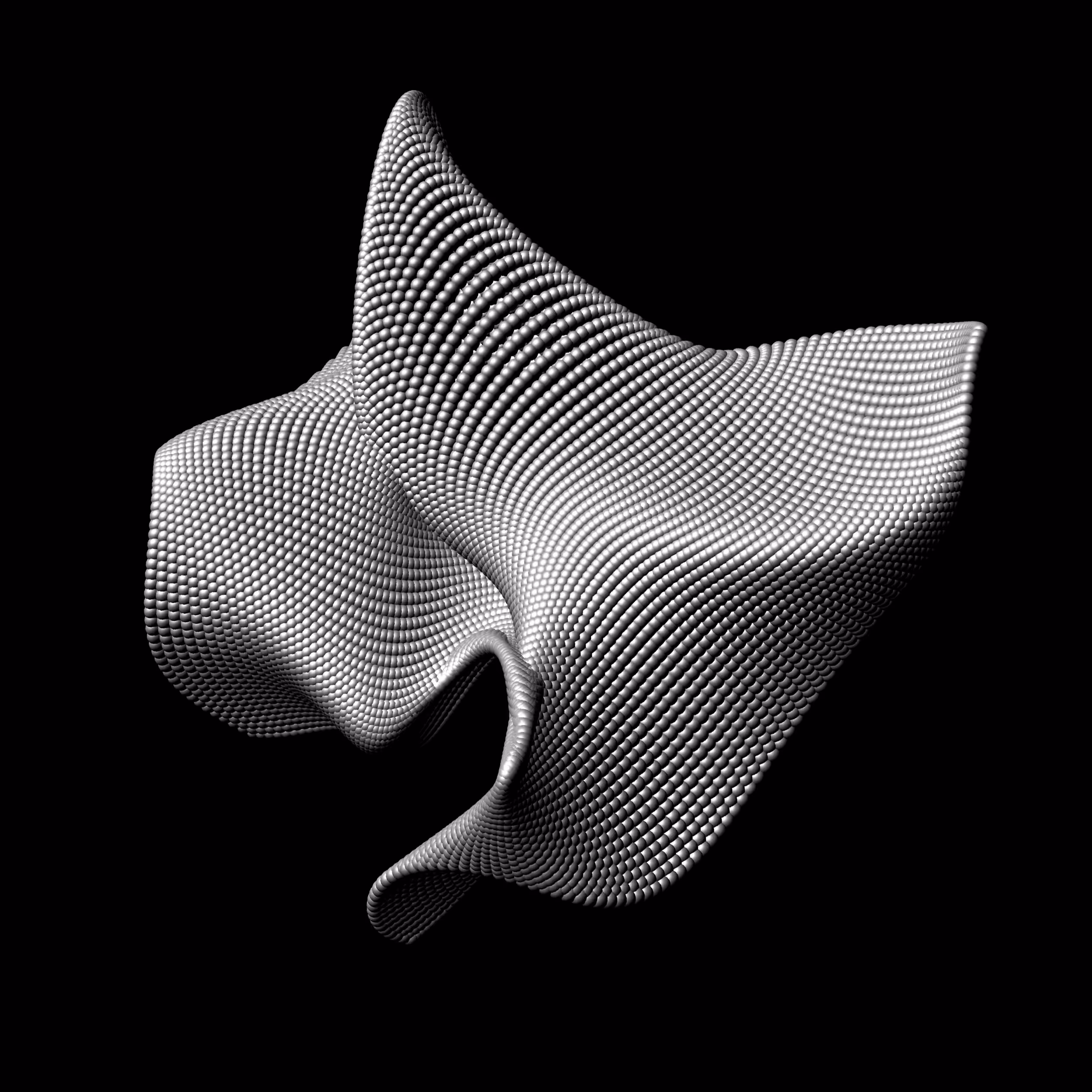 NOISES 01