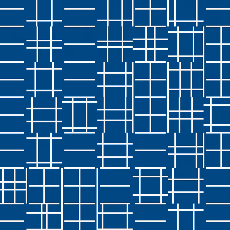 CENTURY-XXX-METAMORELLET #244
