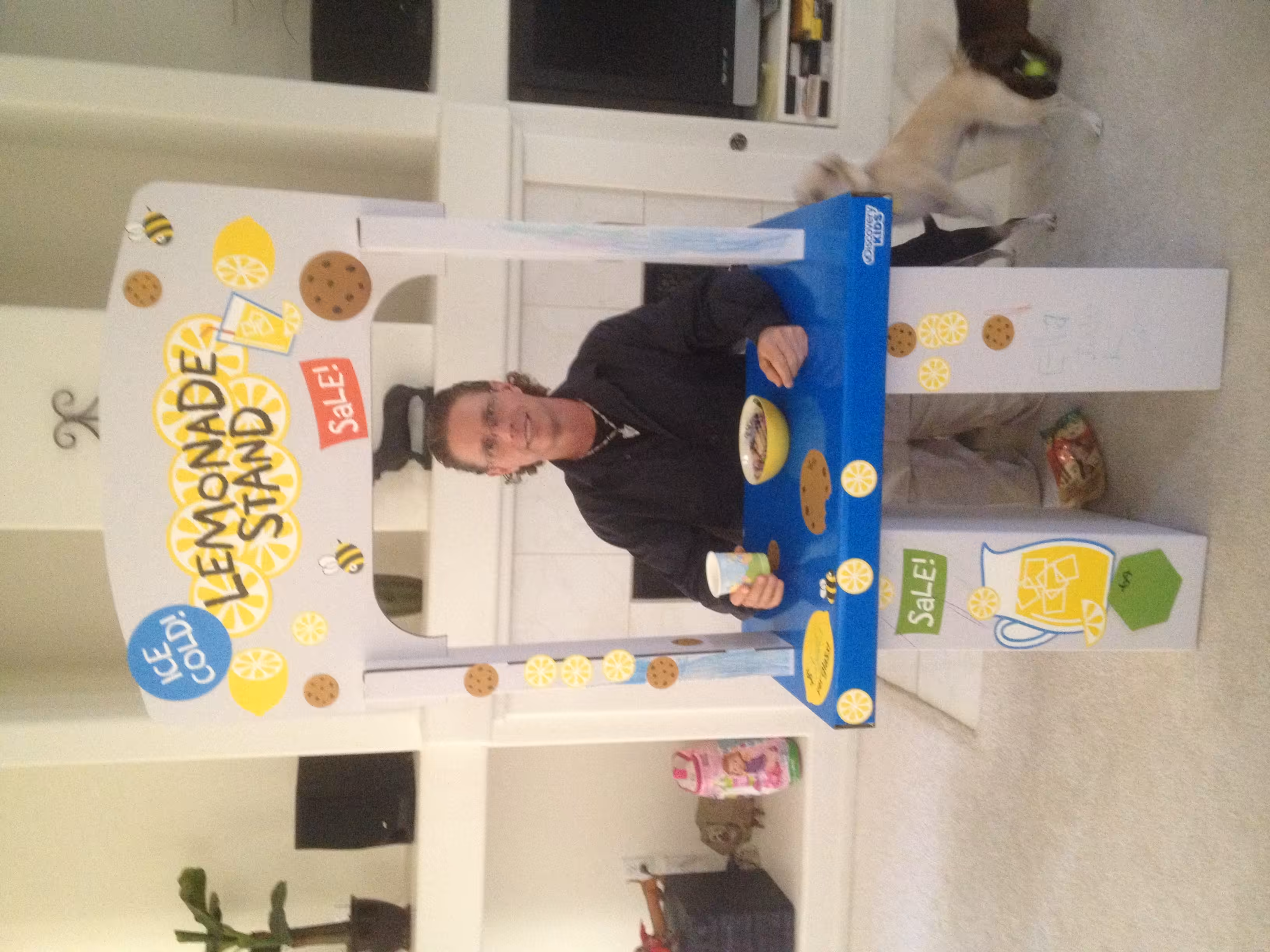 When Life Gives you Lemons, Make Lemonade!