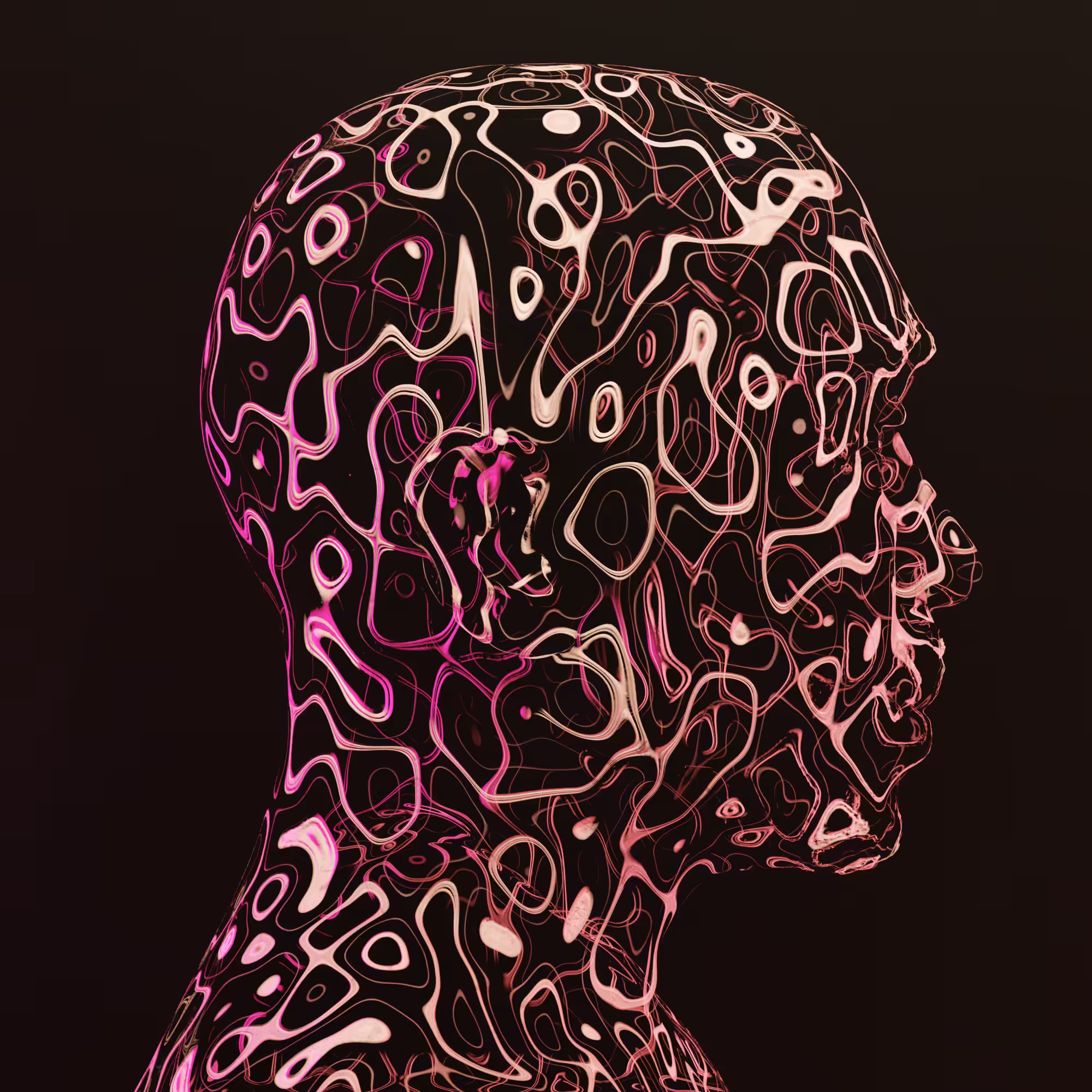 Meta Silhouette #13 Tupac