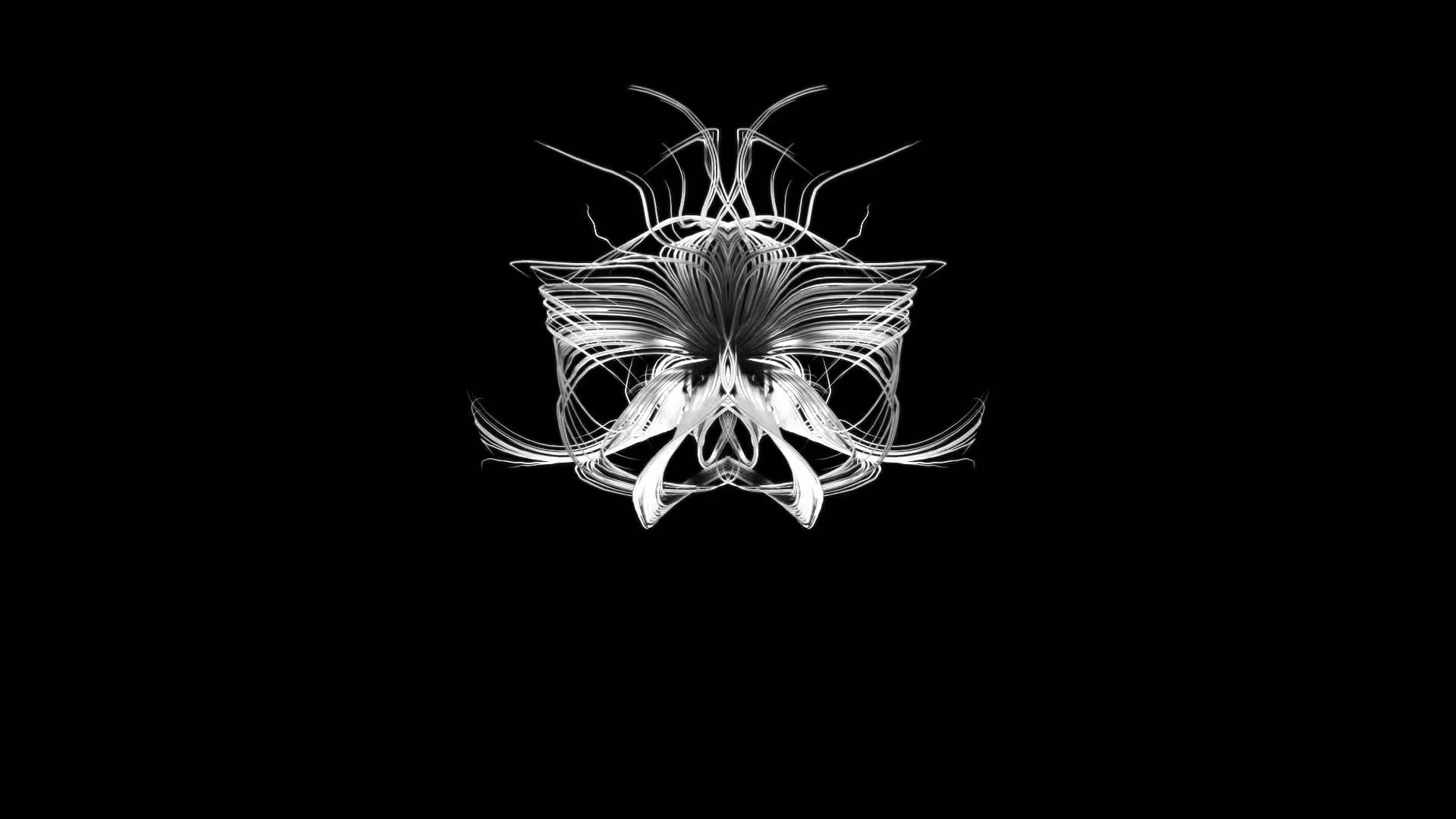 Entropy 5