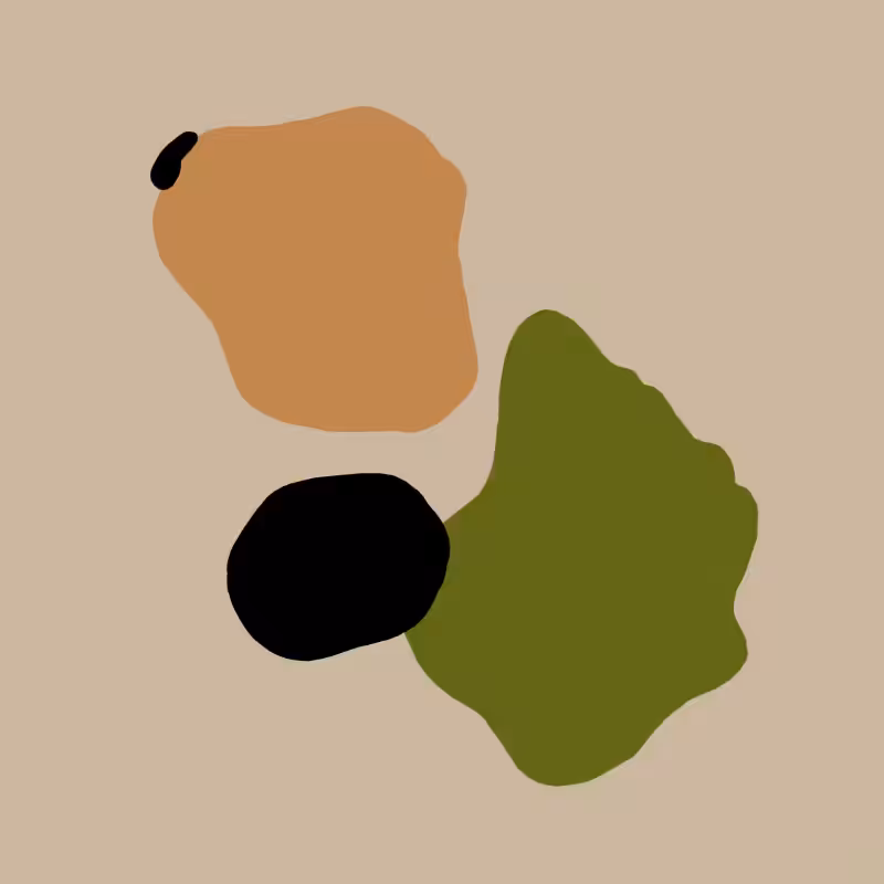 Illusions #4