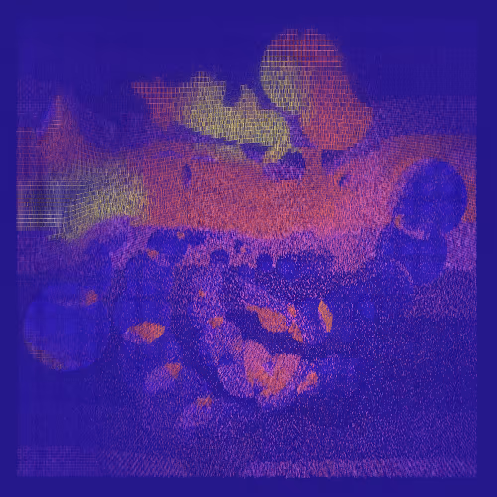 The Space Inside #202