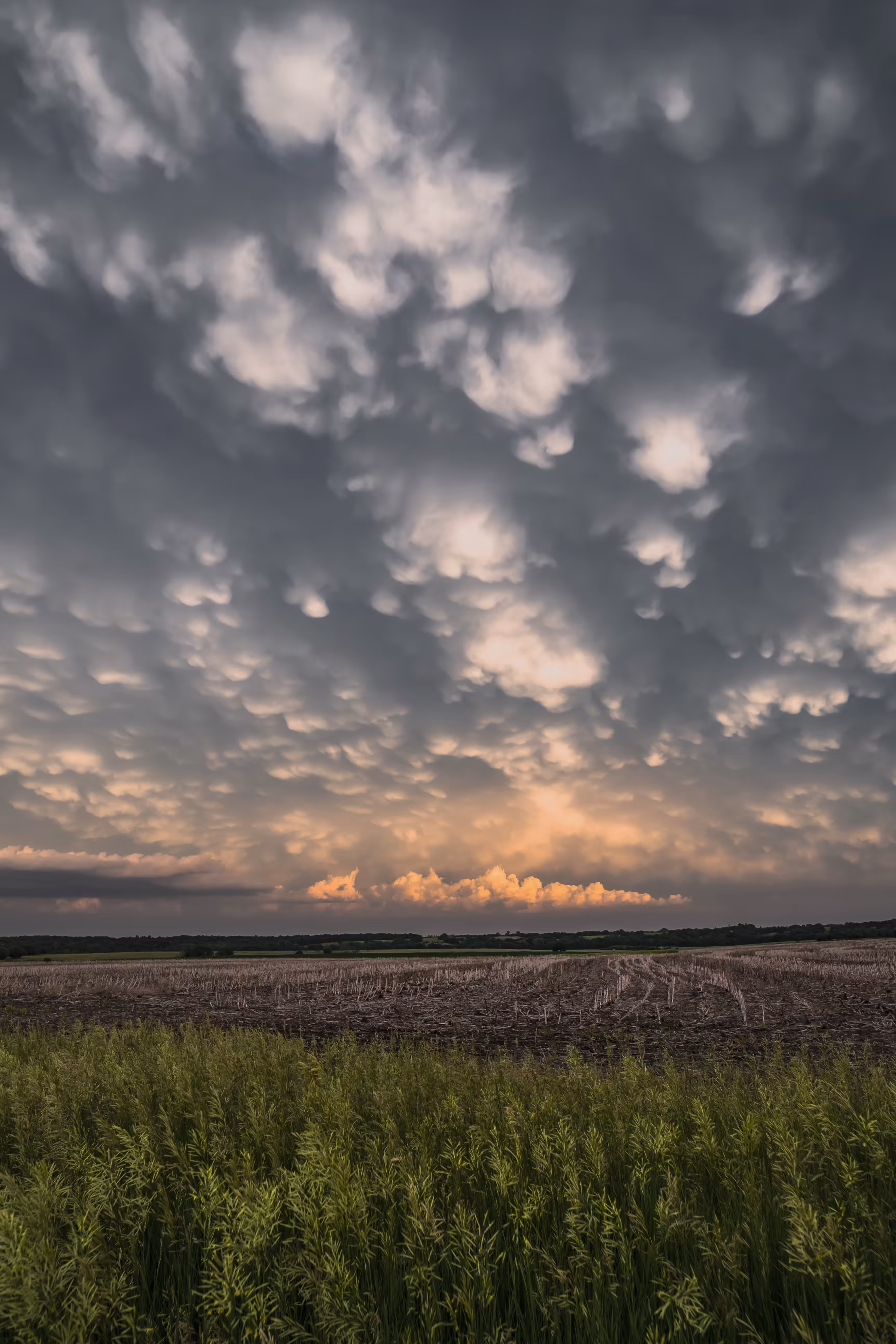 Mammatus Filled Sky