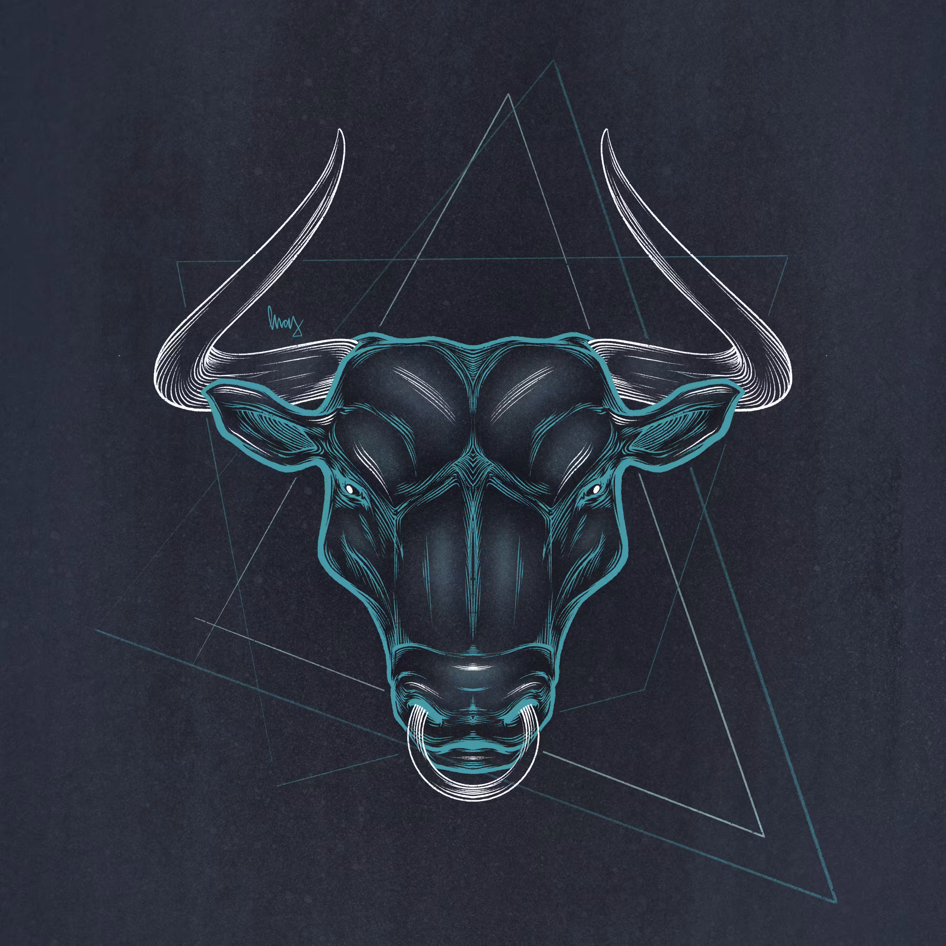 Toro