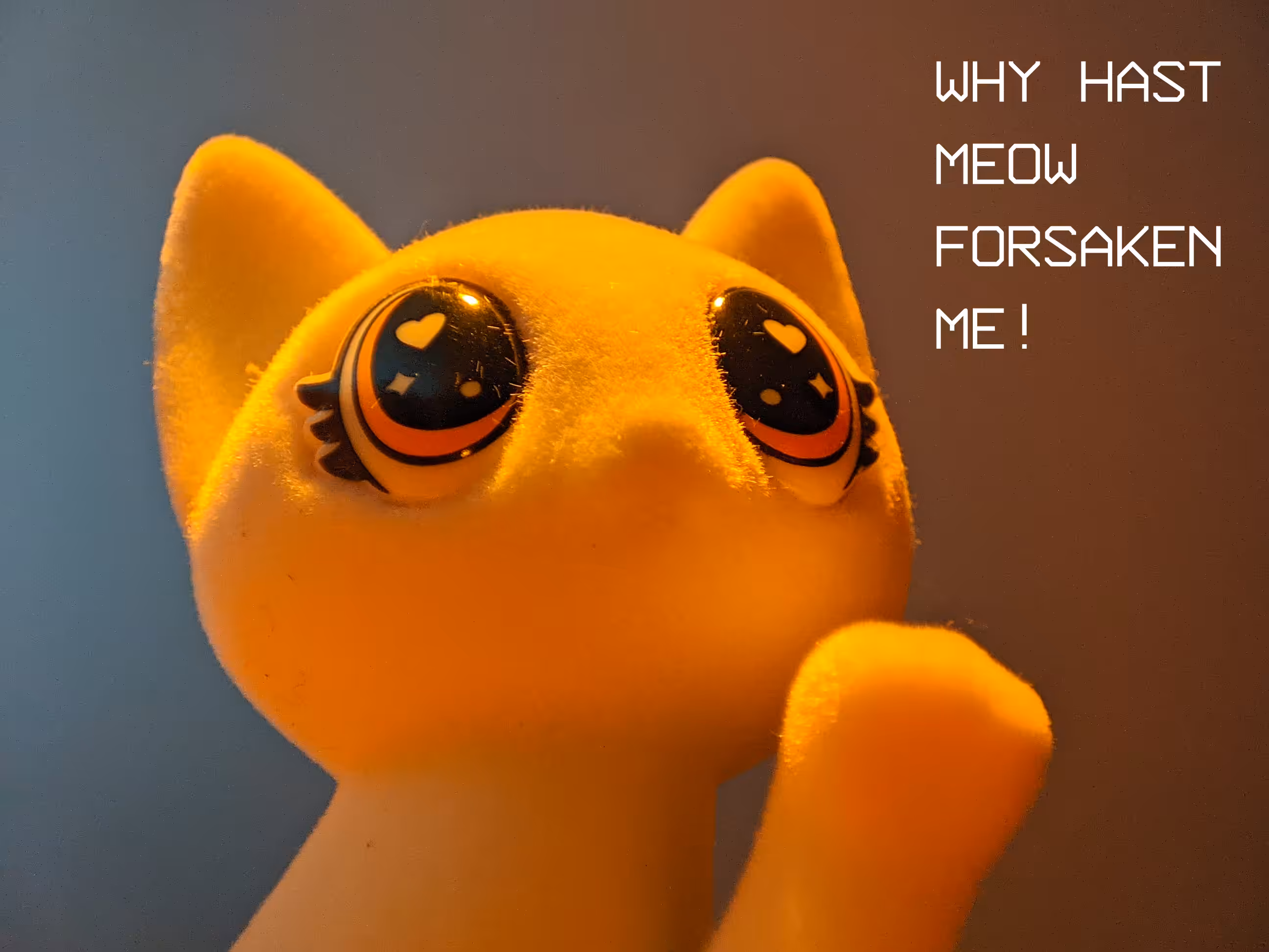 Forsaken Kitty Meme