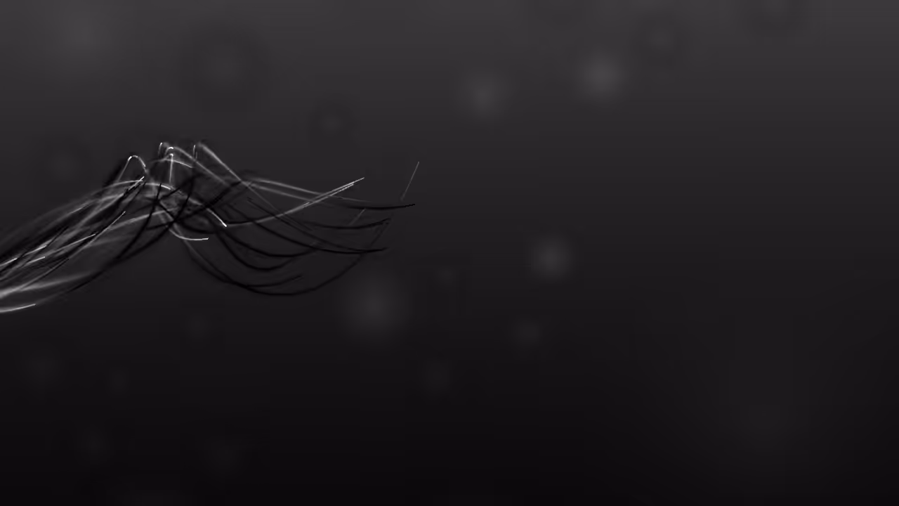 fxhash SpeedRun: any% < 960 minutes #211
