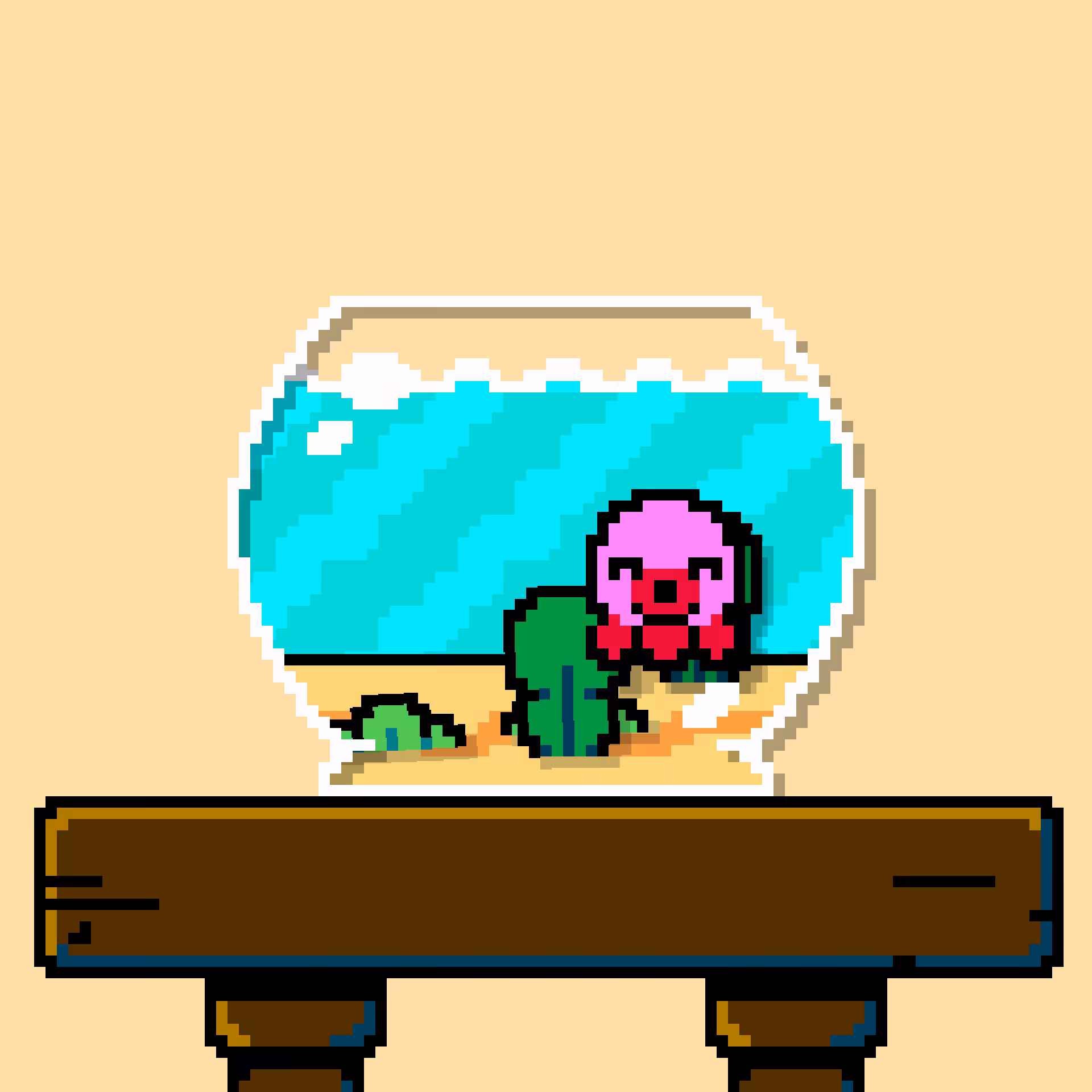 tako #37