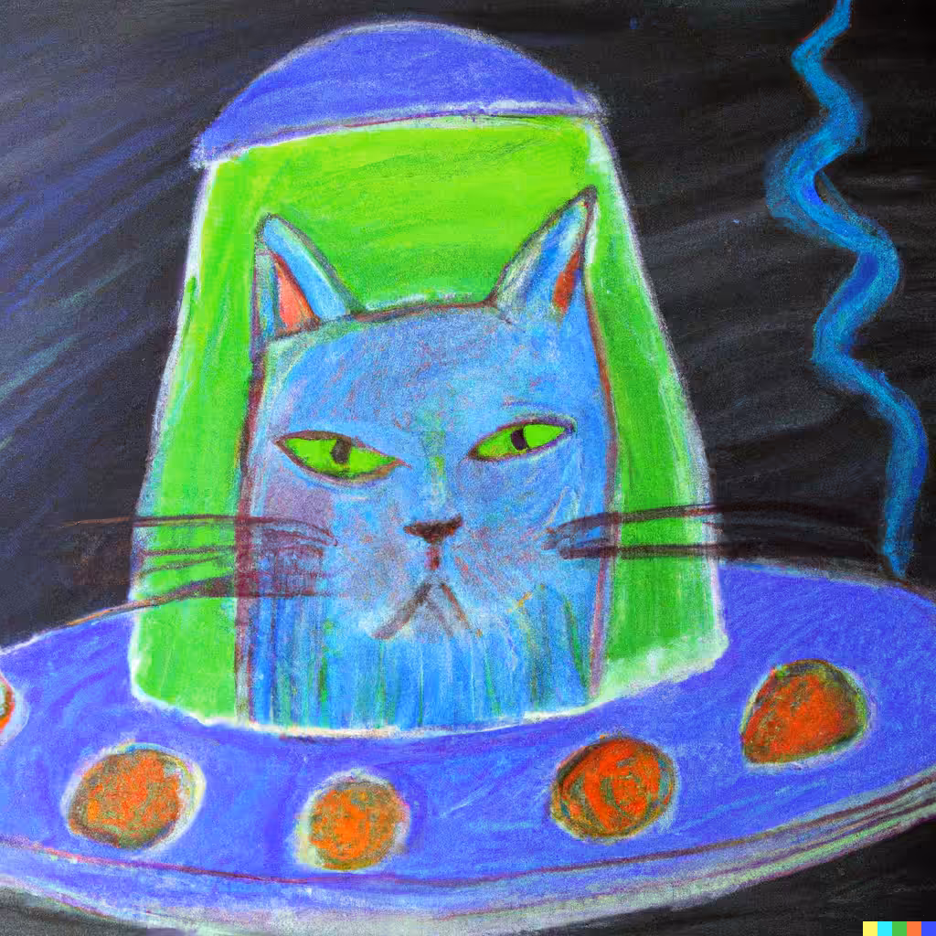 Less than Thrilled Space Cat No. 4