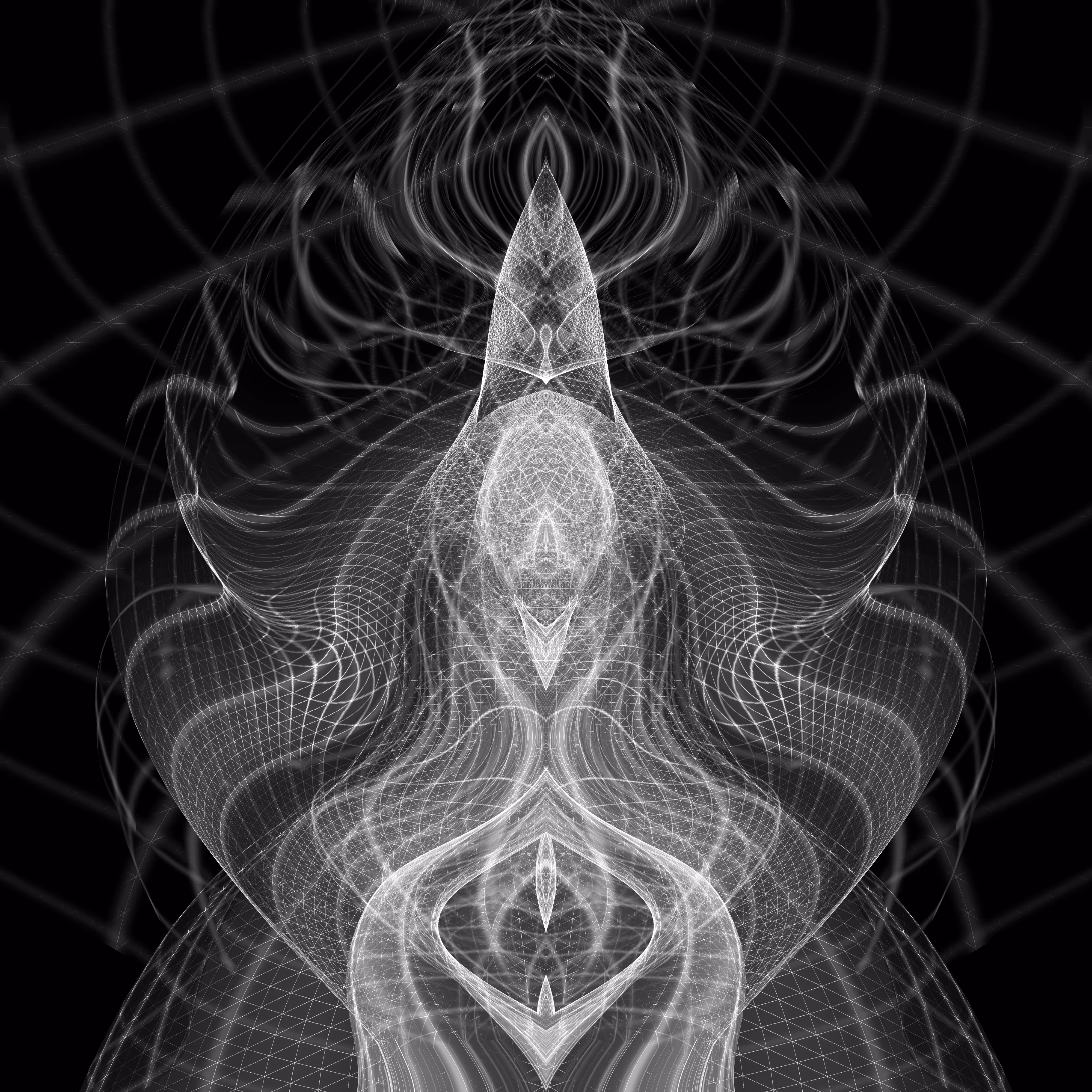 dark flow D4
