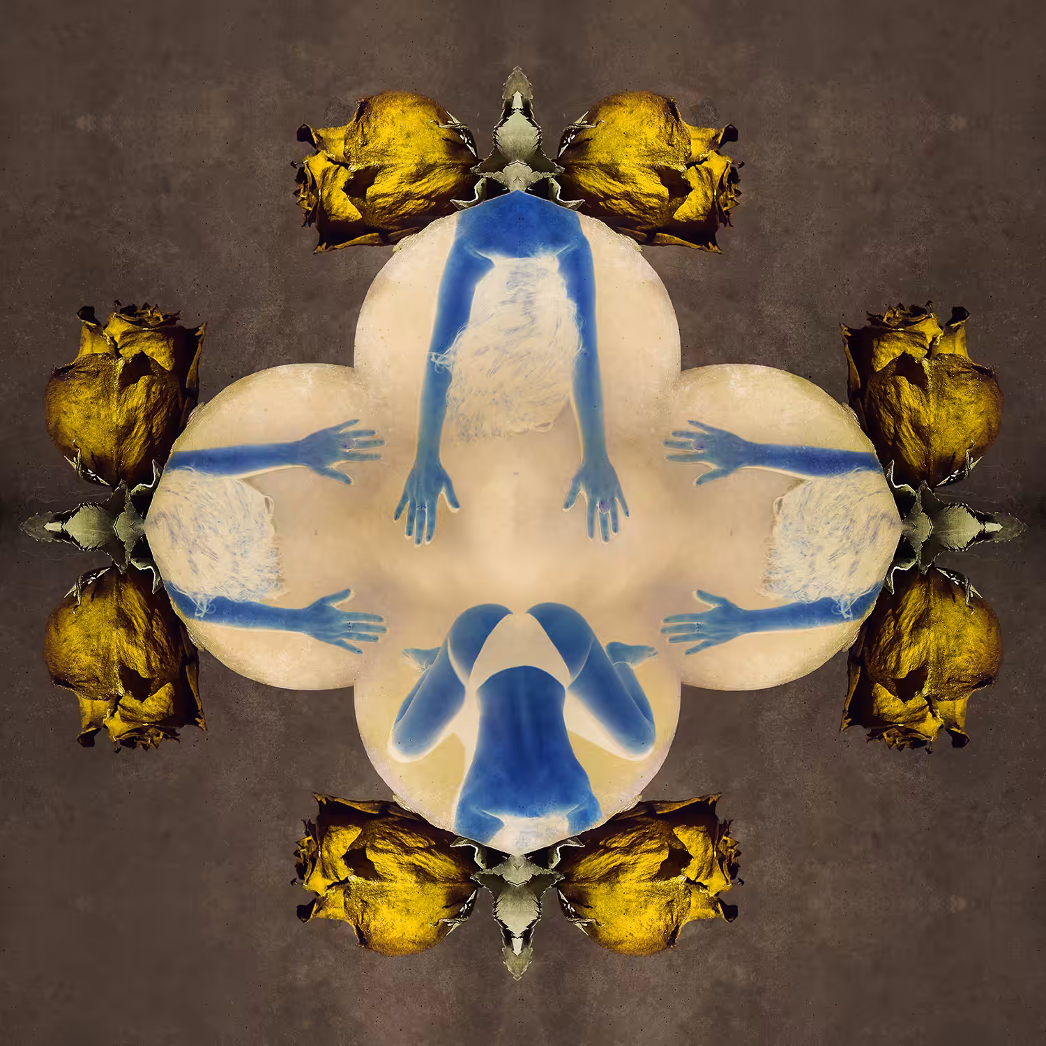 Yellow Kama Sutra
