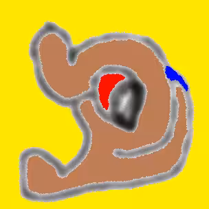 v4r4r4