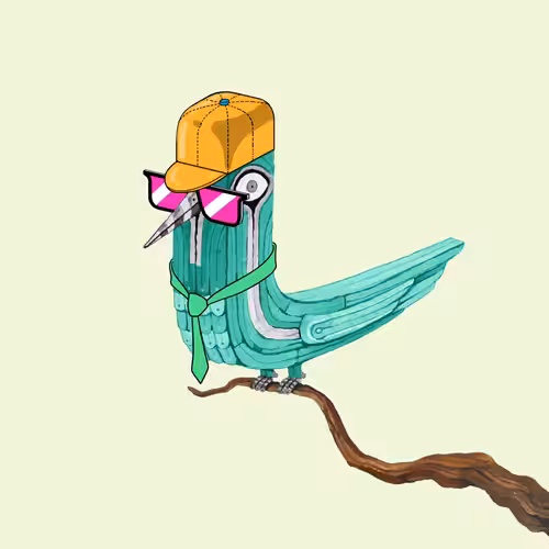 Bolbol, The Bird 018