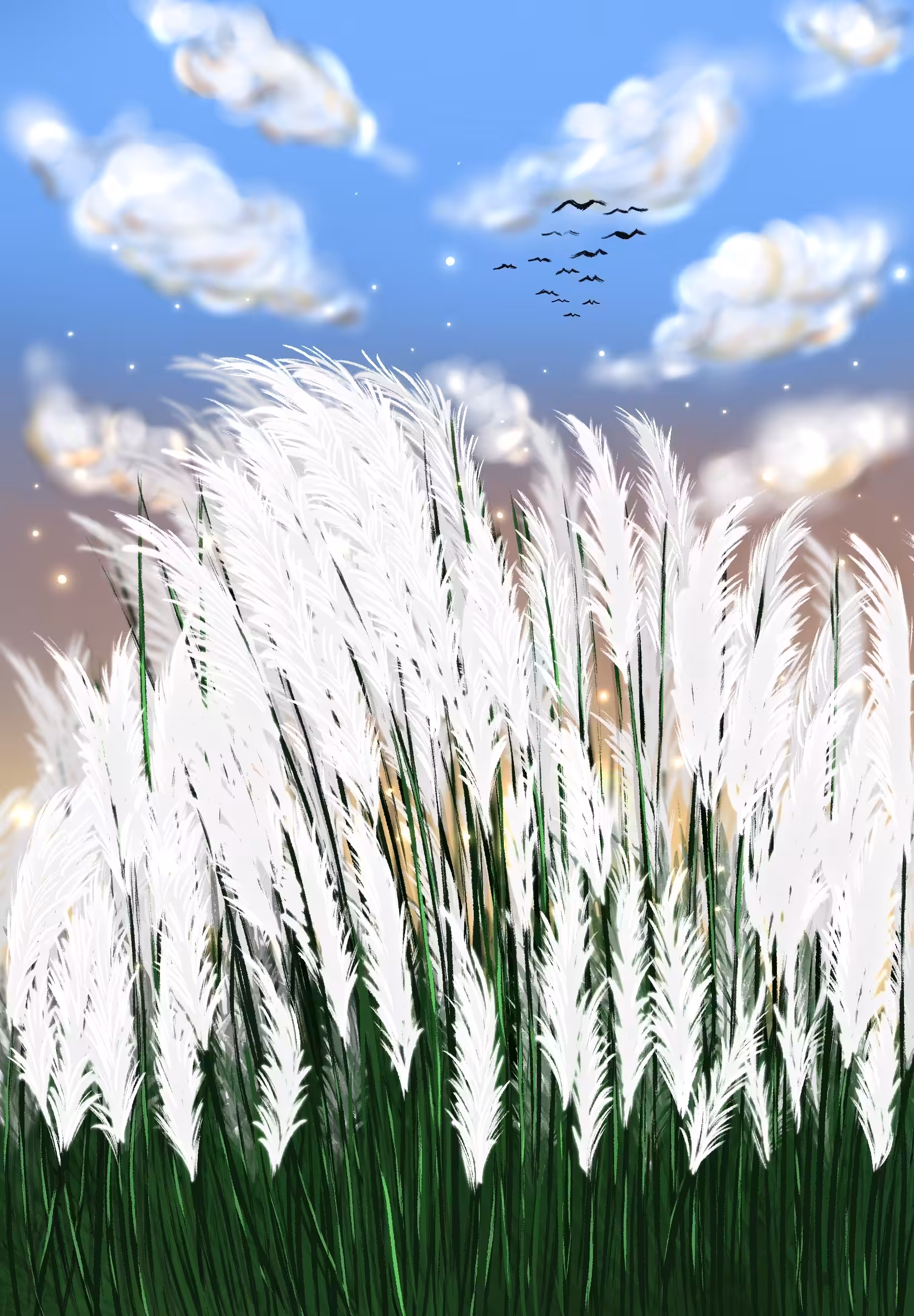 Autumn Accession