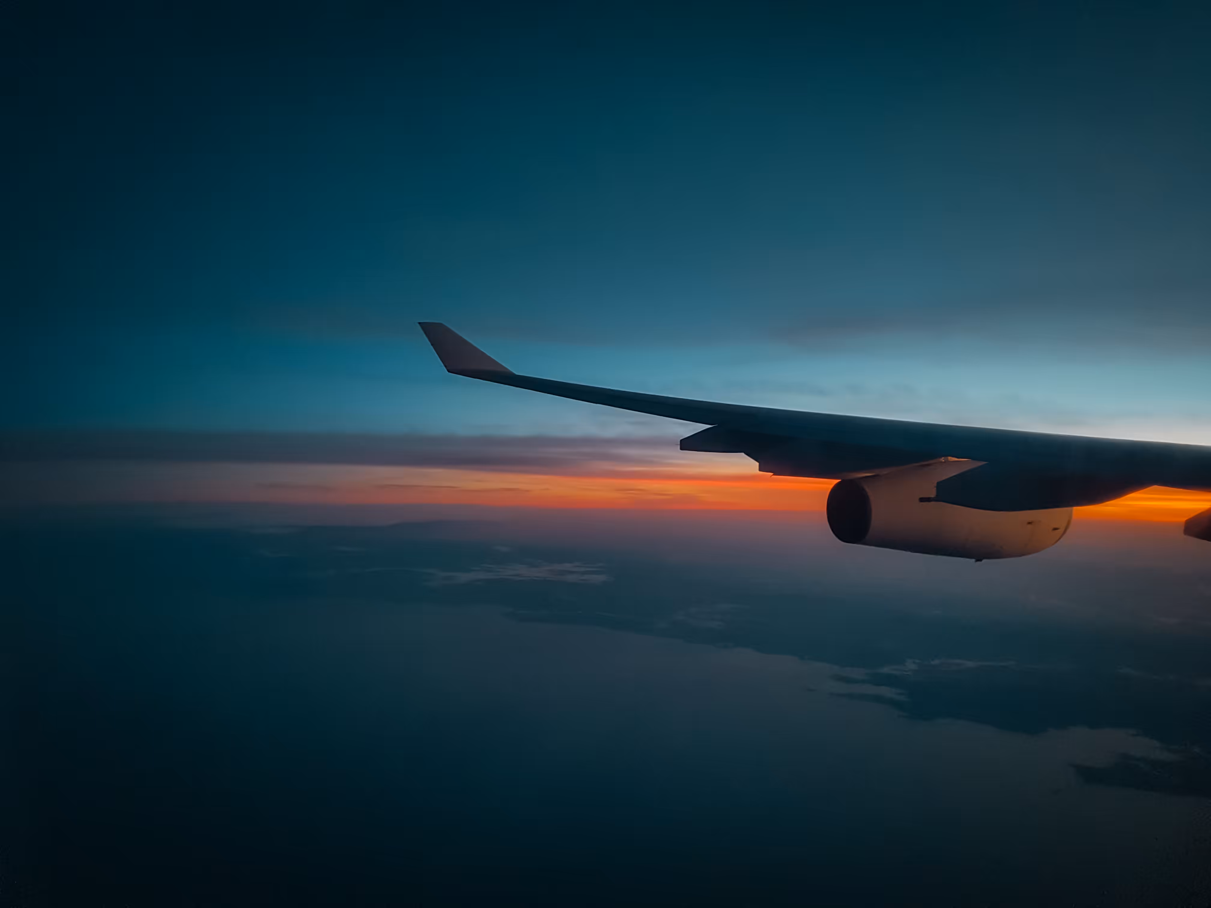 Wings Into Sunrise