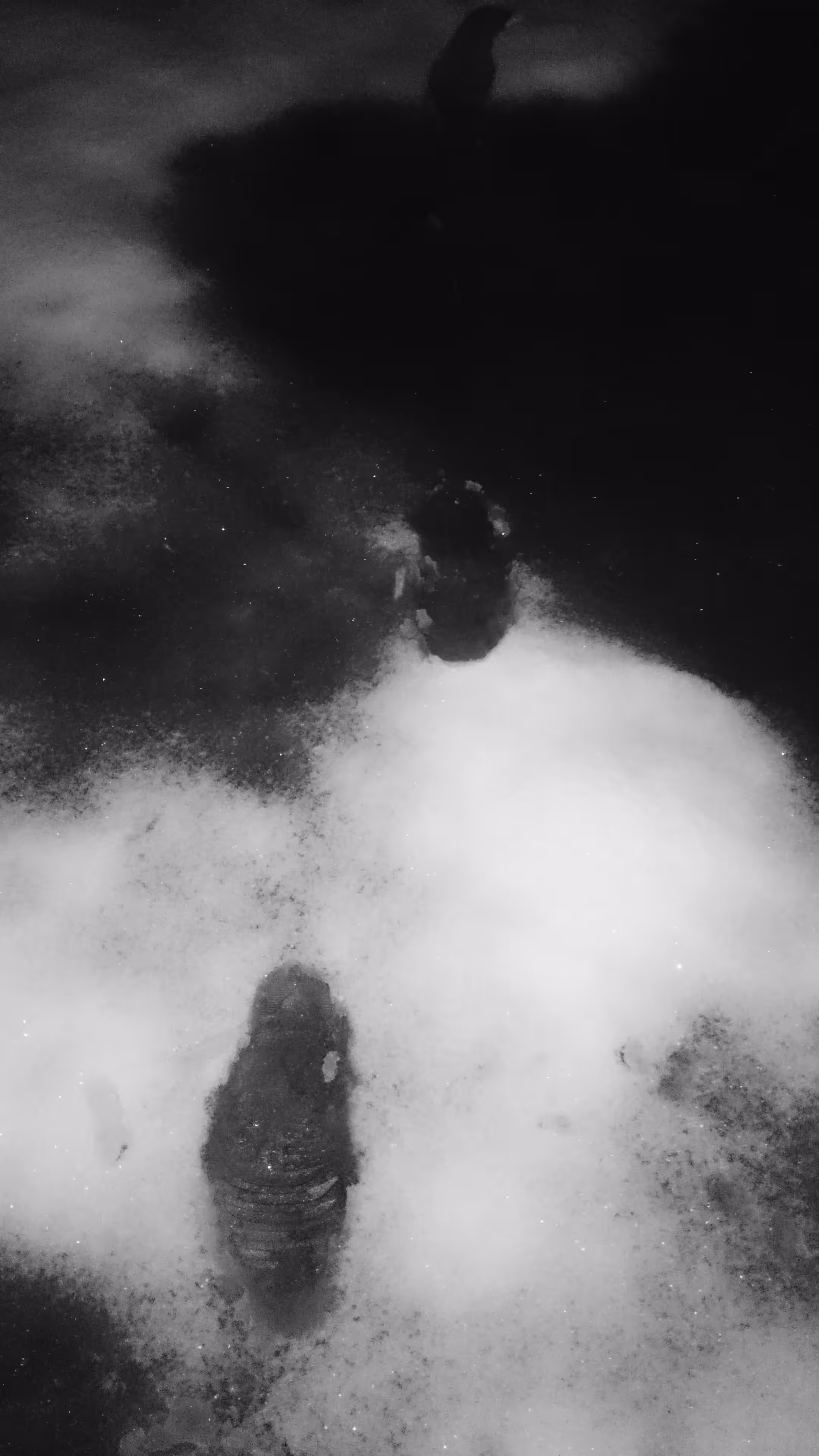 Photos: Footprints