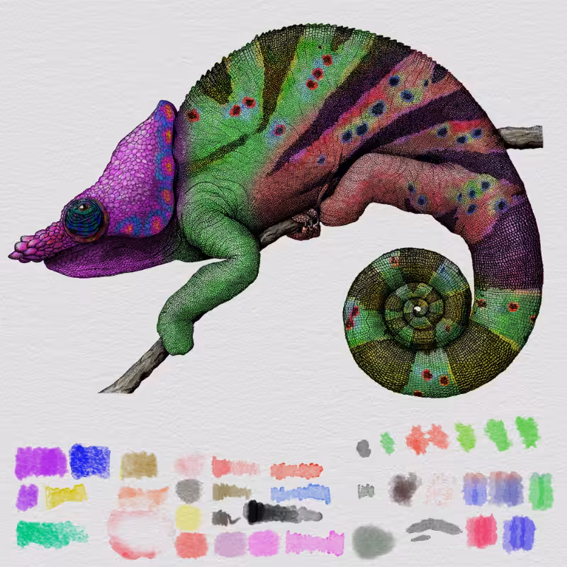 Colorful Cameleon #26