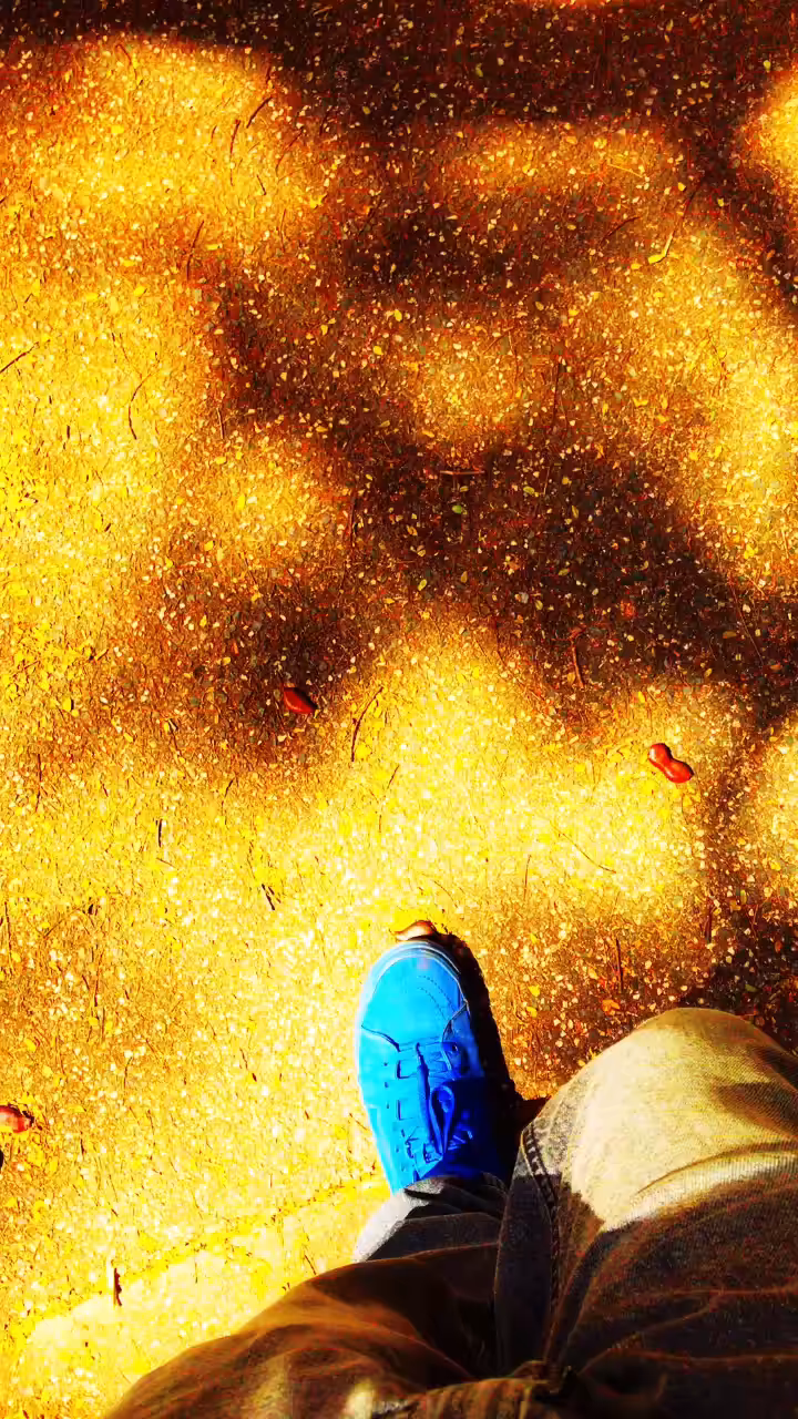 walk-of-life