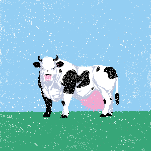 cow #9