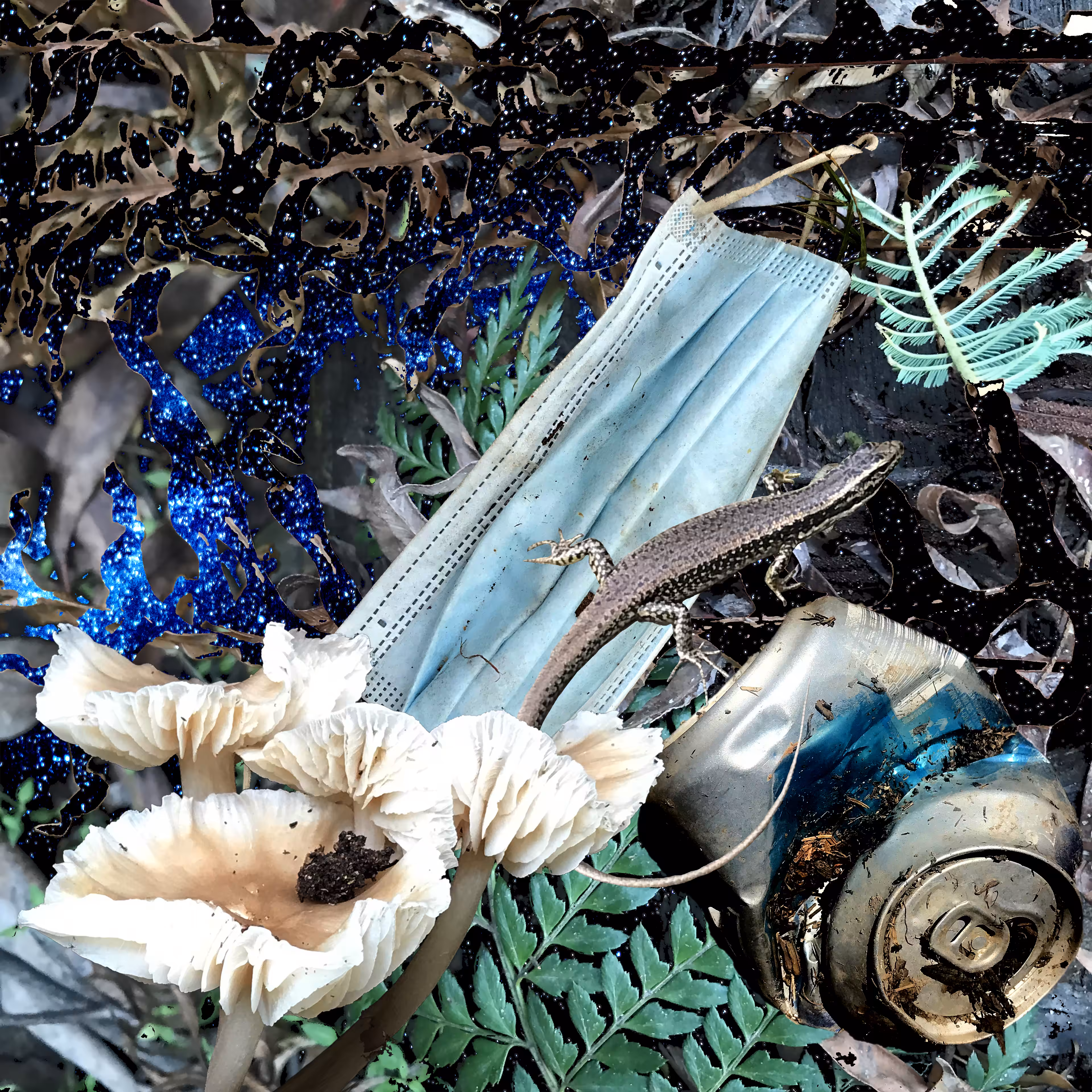 Forest Trash and Treasure #117