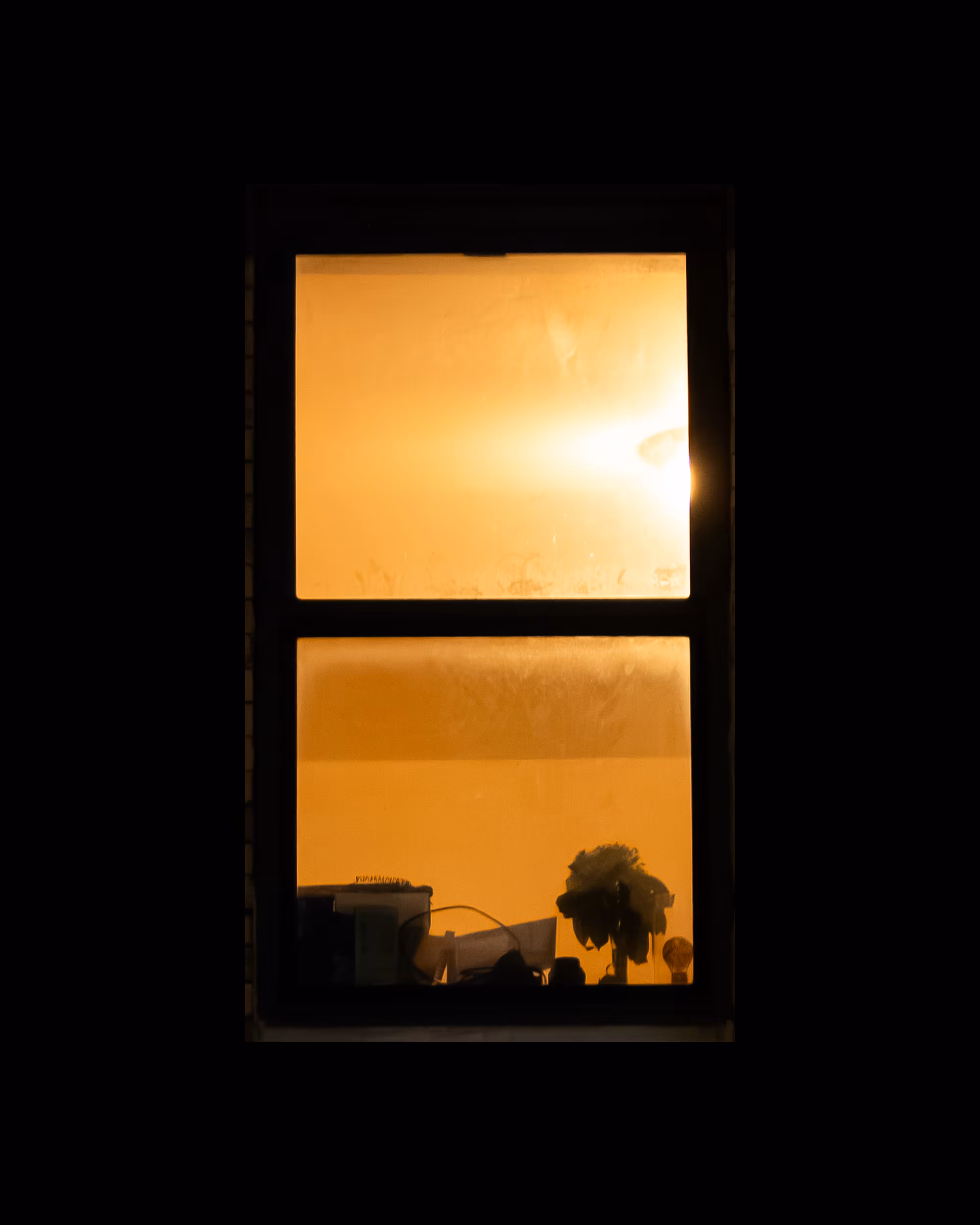 WINDOWS // NYC: WINDOW 659