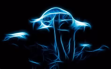 5d mushroom