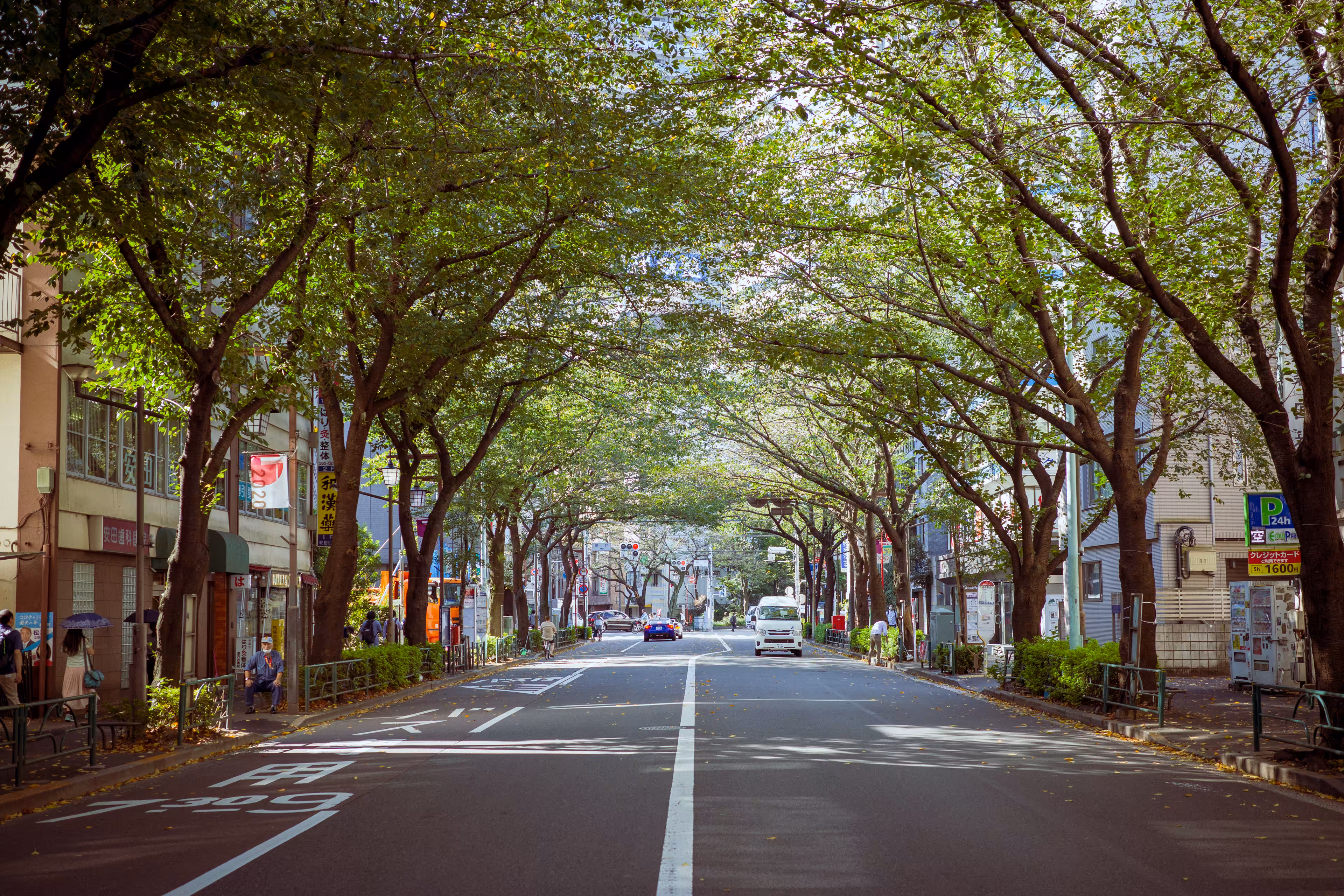 Another perspective in Tokyo #0007